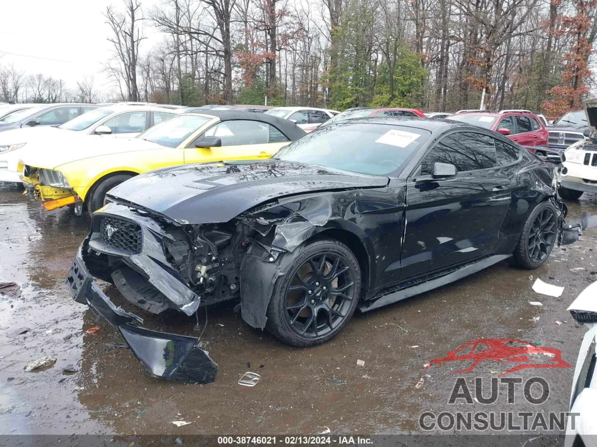 FORD MUSTANG 2019 - 1FA6P8TH8K5195766