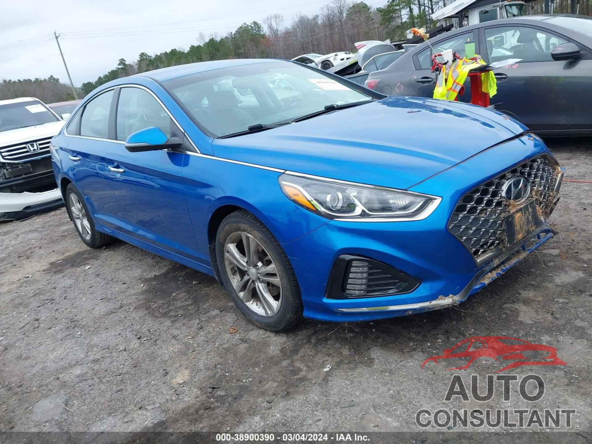 HYUNDAI SONATA 2019 - 5NPE34AF0KH736157