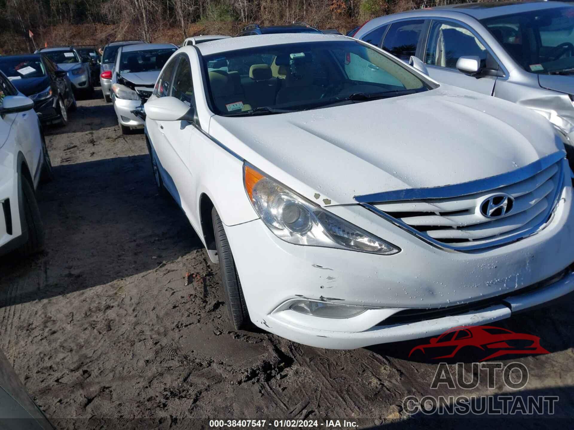 HYUNDAI SONATA 2013 - 5NPEB4AC9DH787233