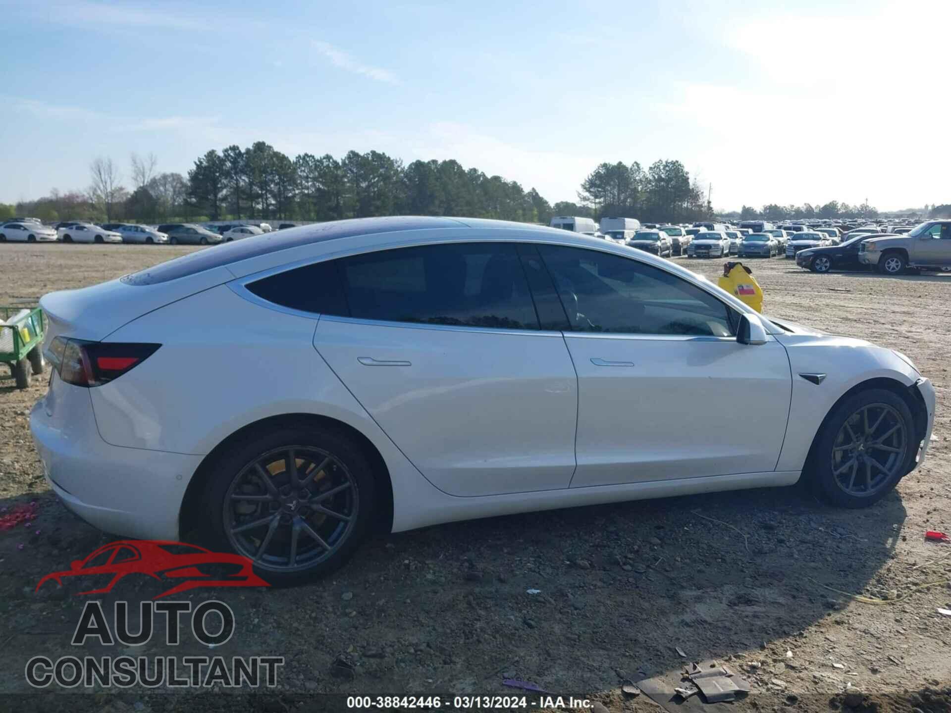TESLA MODEL 3 2019 - 5YJ3E1EA2KF309799