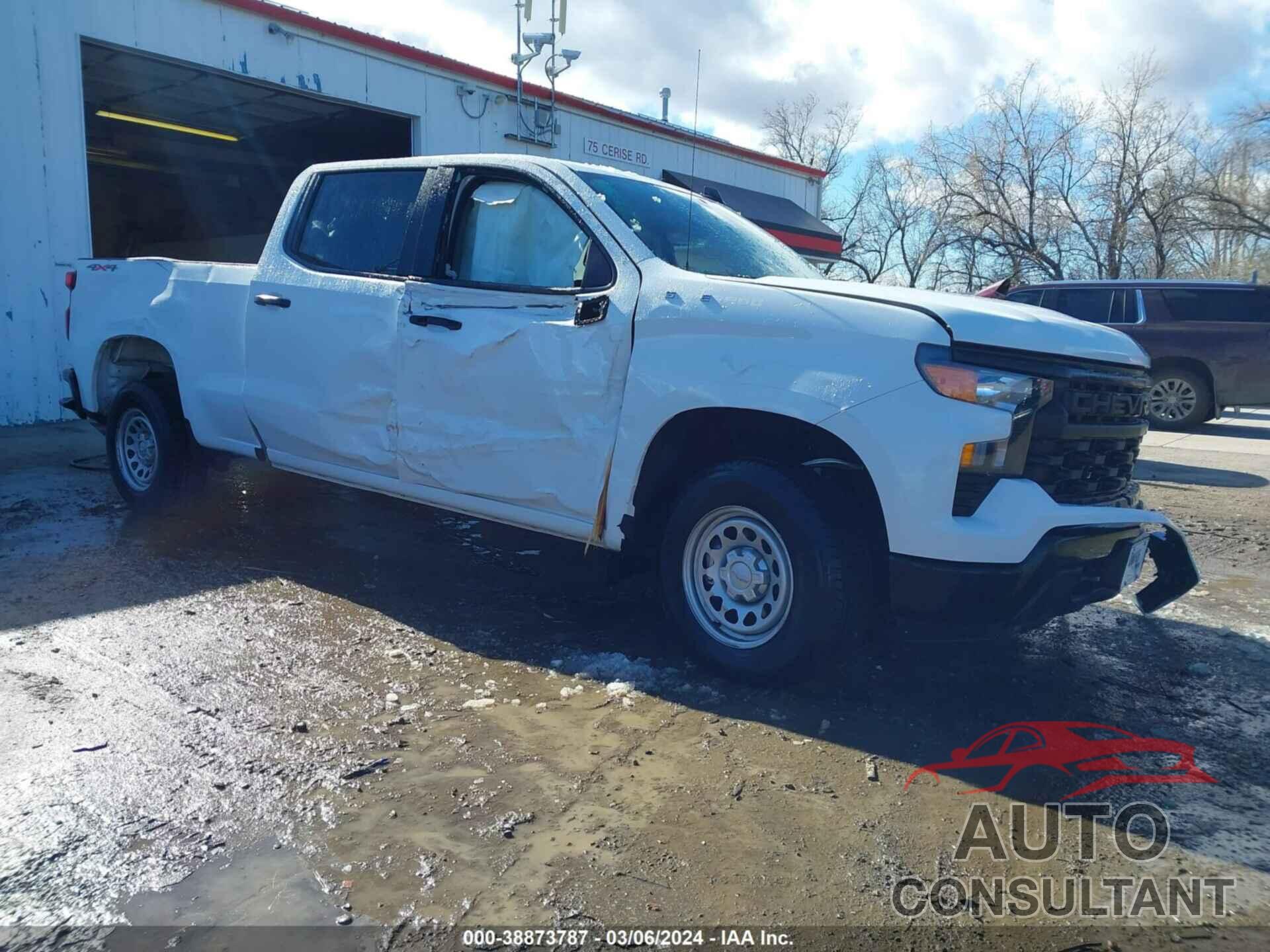 CHEVROLET SILVERADO 1500 2024 - 1GCPDAEK6RZ115617