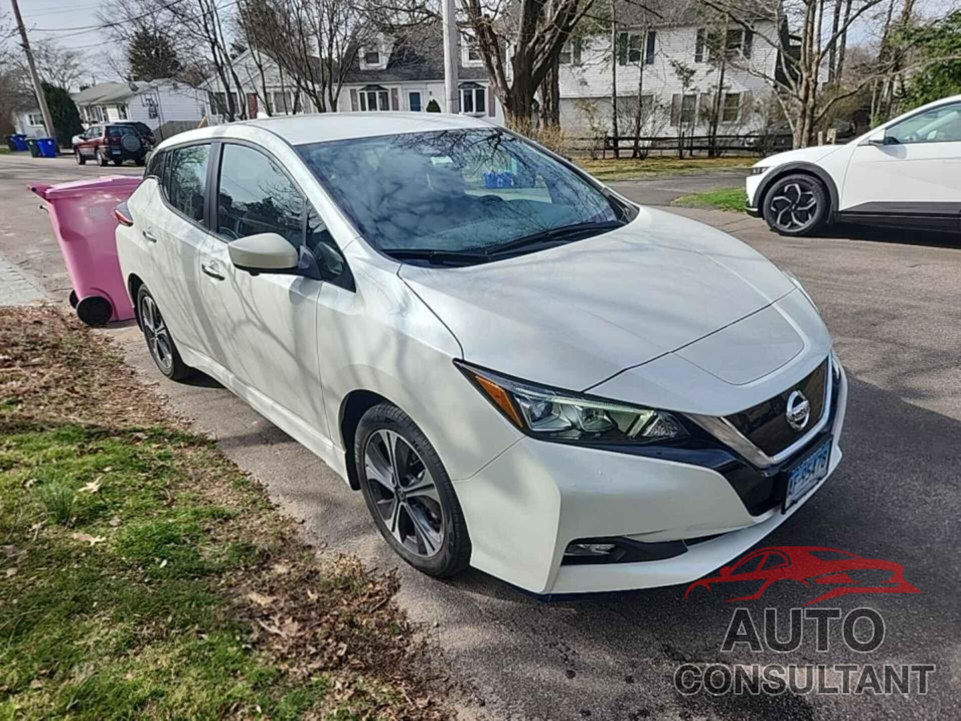 NISSAN LEAF 2022 - 1N4BZ1CV6NC560516