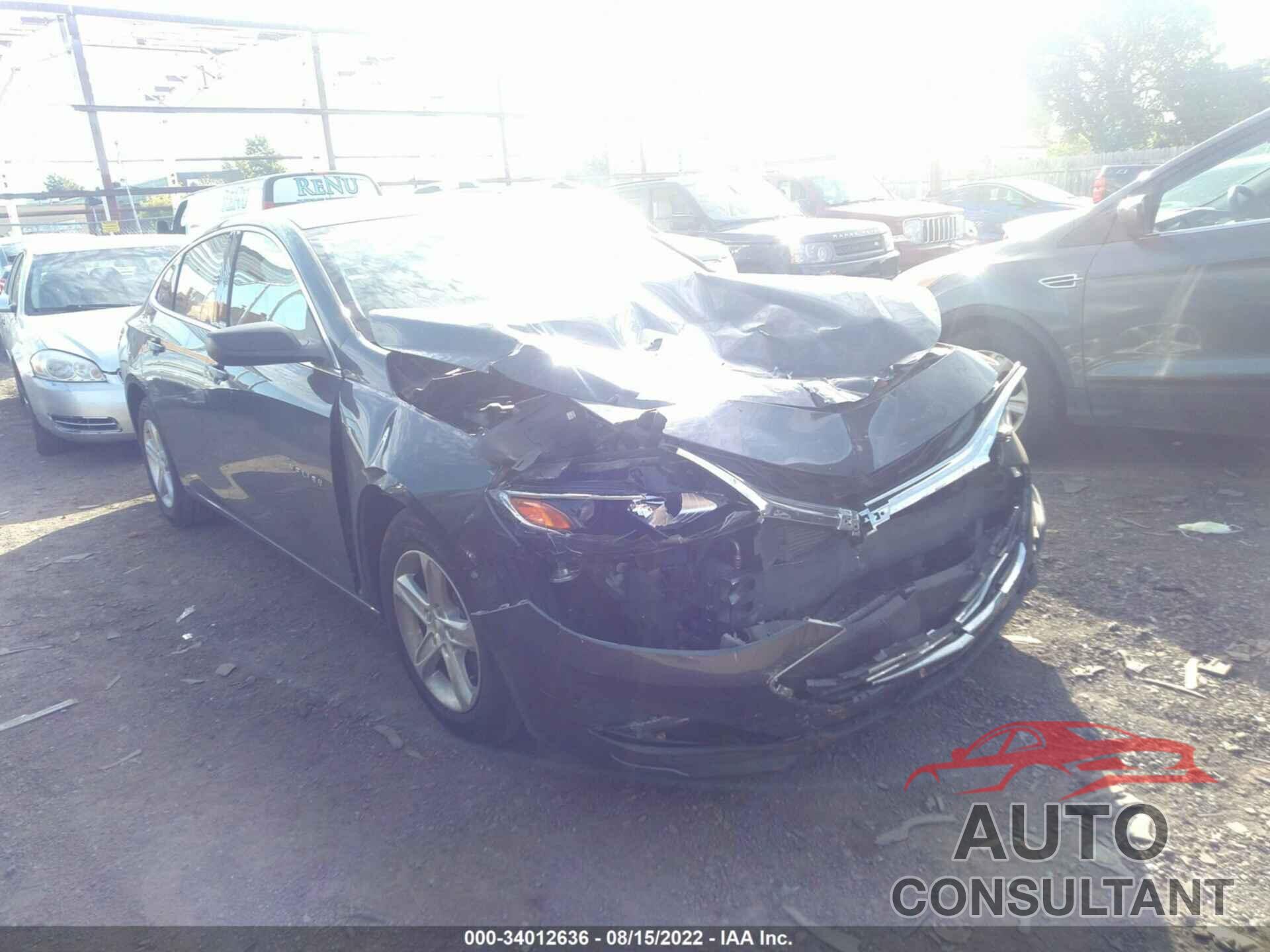CHEVROLET MALIBU 2019 - 1G1ZB5ST9KF176382