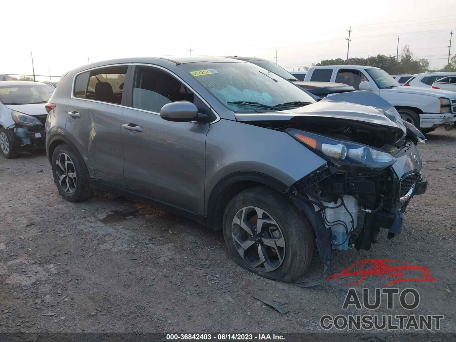 KIA SPORTAGE 2022 - KNDPM3AC4N7001812