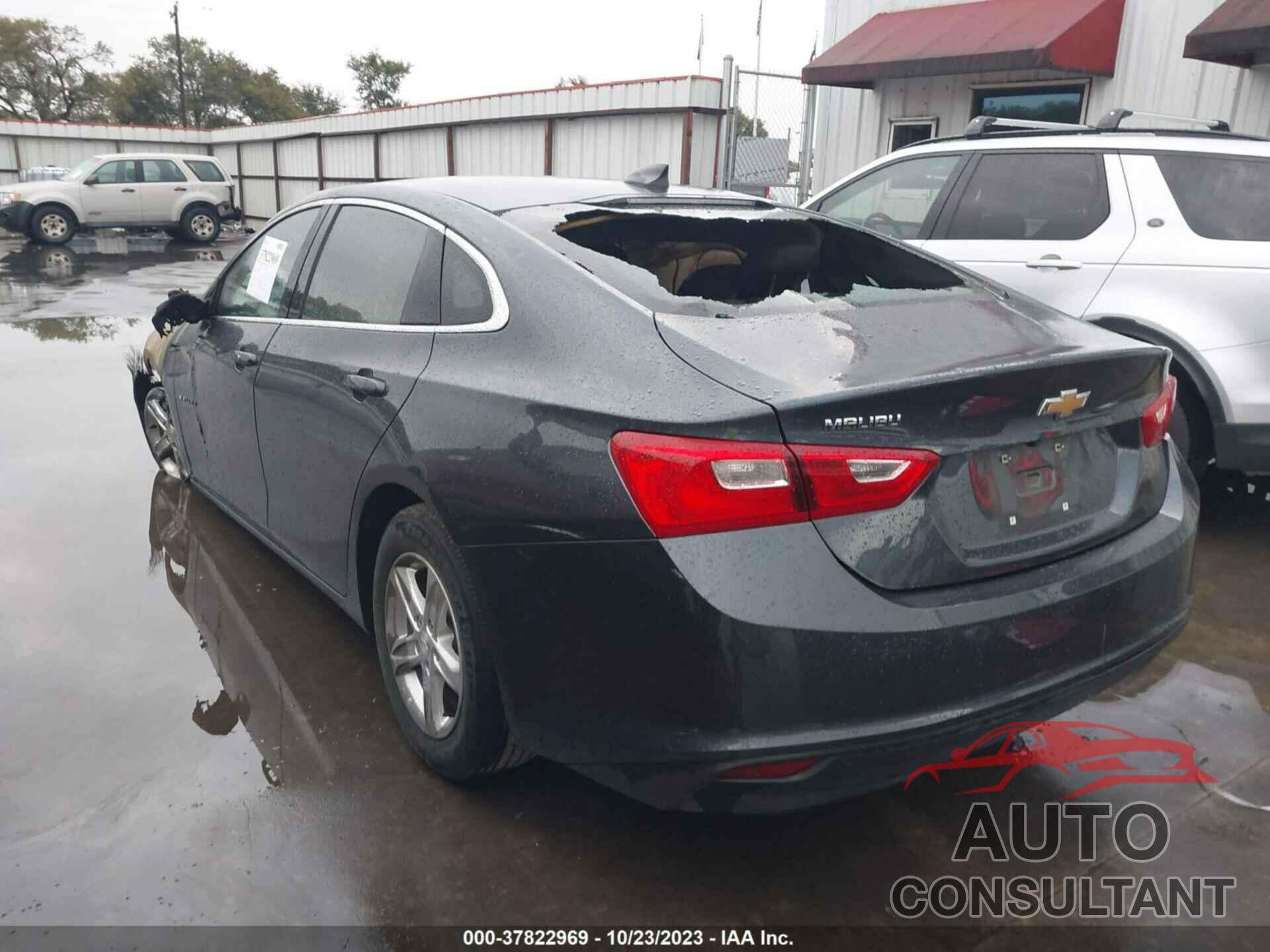 CHEVROLET MALIBU 2021 - 1G1ZB5ST0MF033808