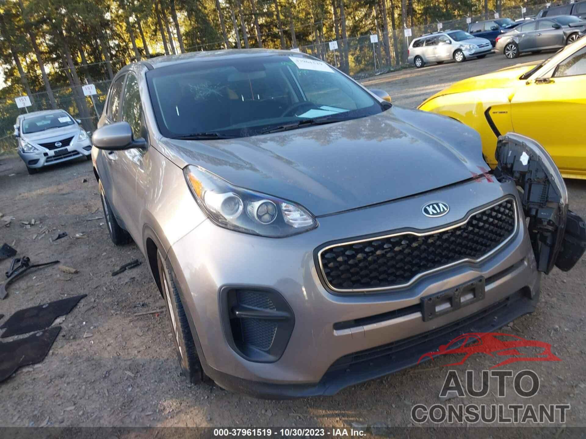 KIA SPORTAGE 2019 - KNDPM3AC6K7504043
