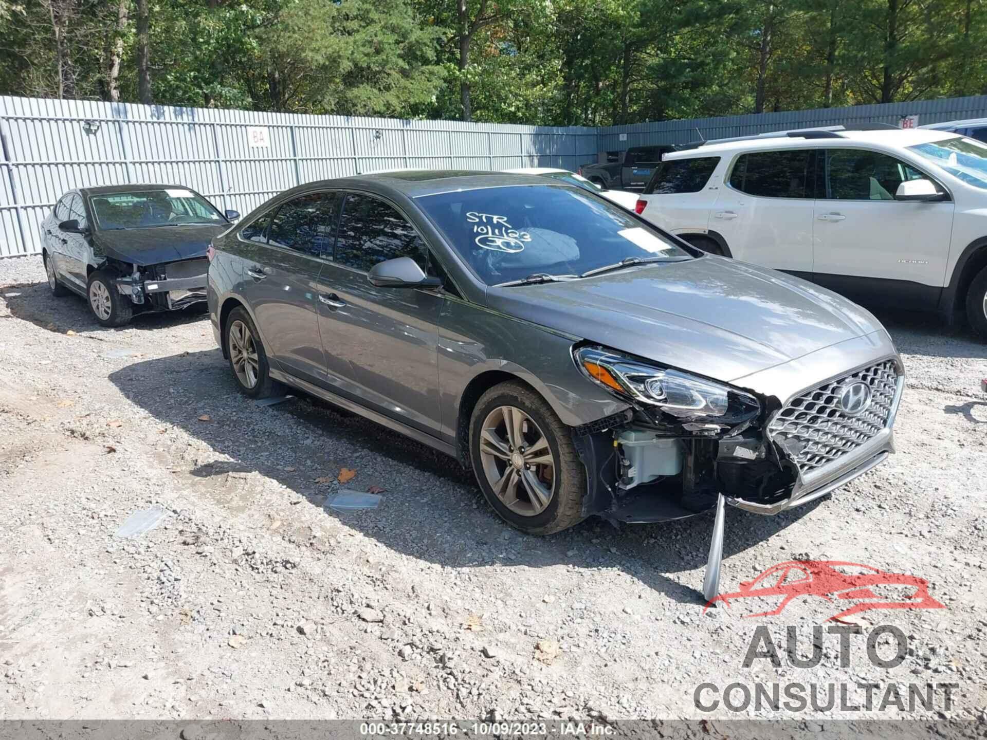HYUNDAI SONATA 2019 - 5NPE34AF1KH793564