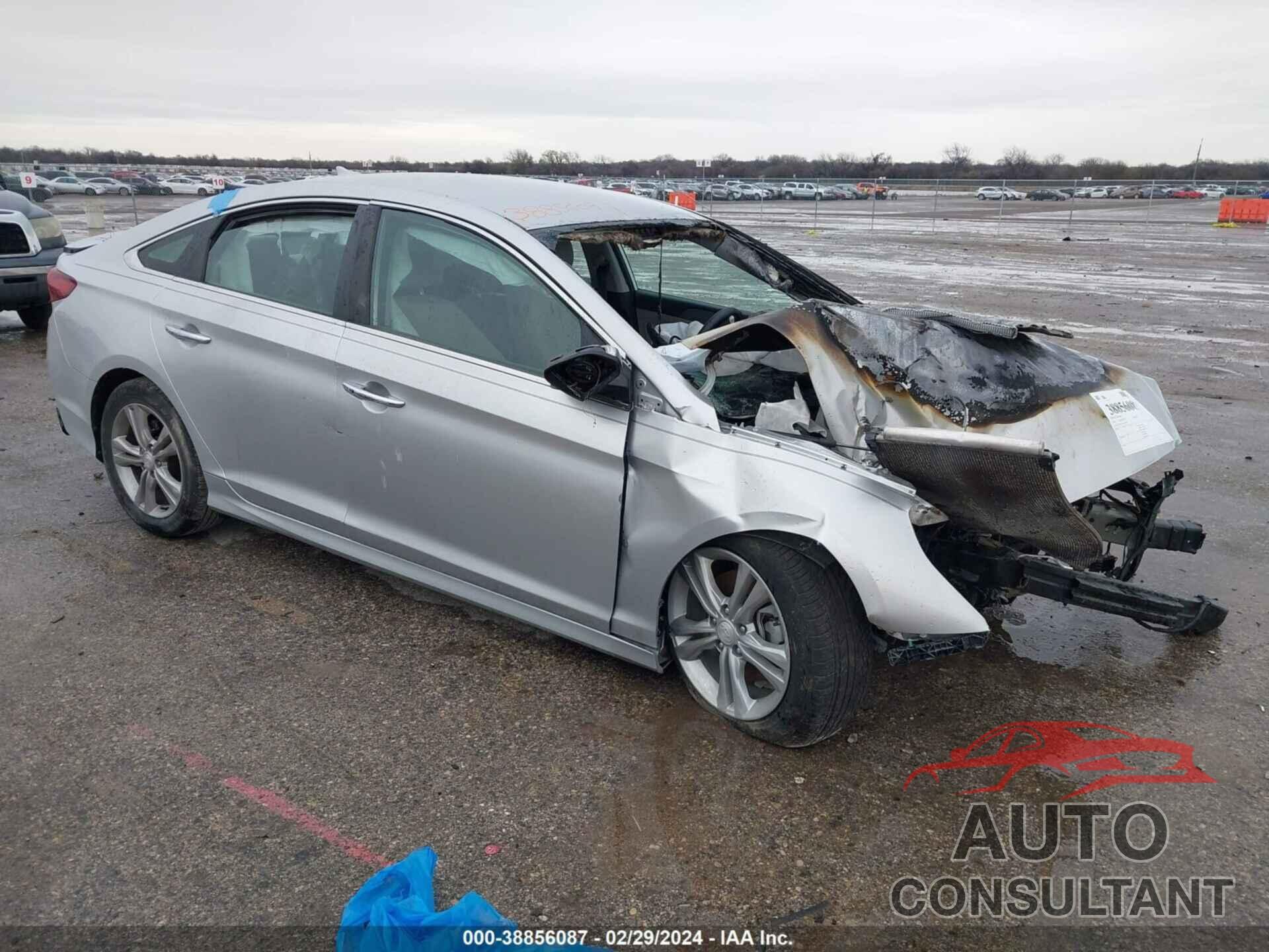 HYUNDAI SONATA 2019 - 5NPE34AF1KH729556