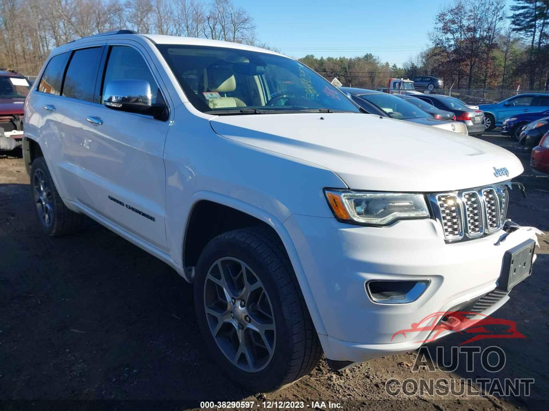 JEEP GRAND CHEROKEE 2019 - 1C4RJFCG0KC620493