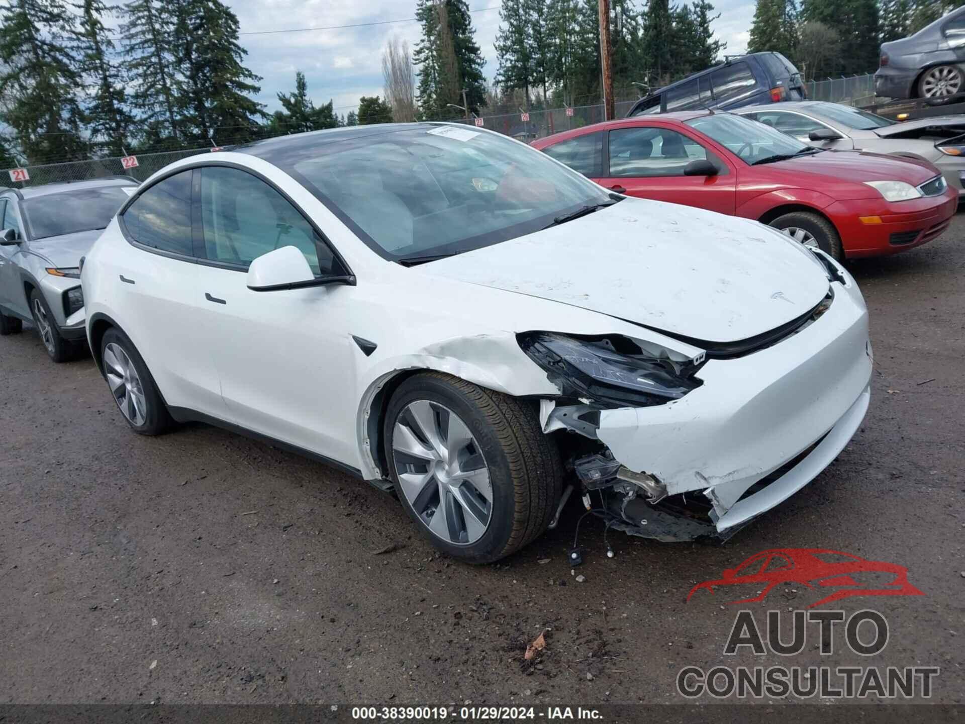 TESLA MODEL Y 2022 - 7SAYGAEEXNF548091