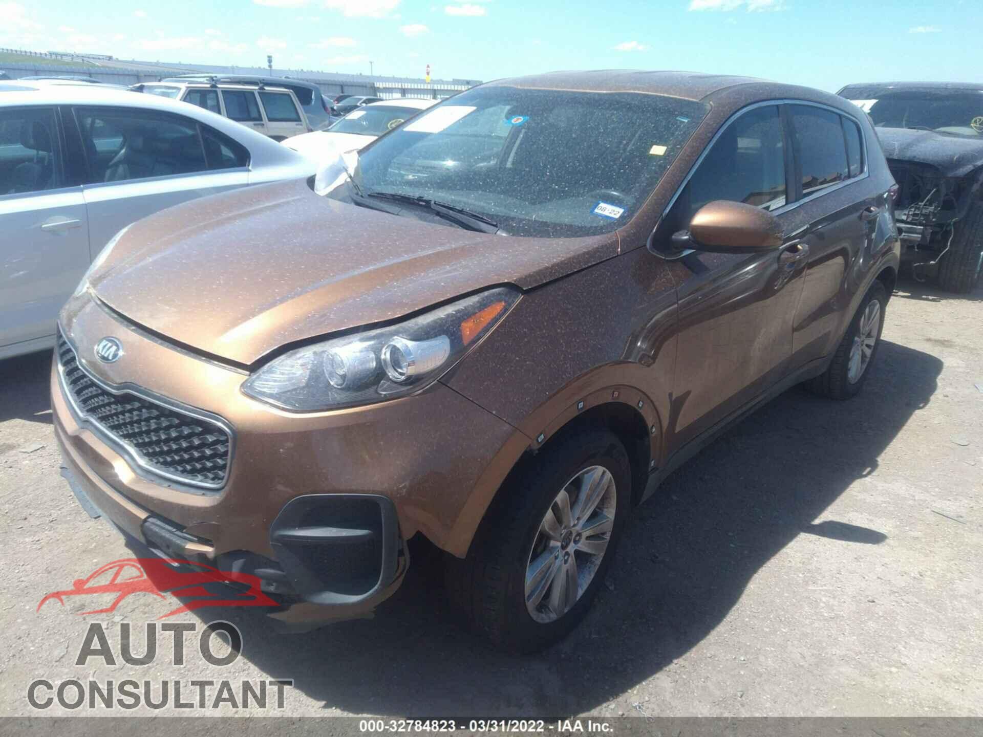 KIA SPORTAGE 2017 - KNDPM3AC3H7154735