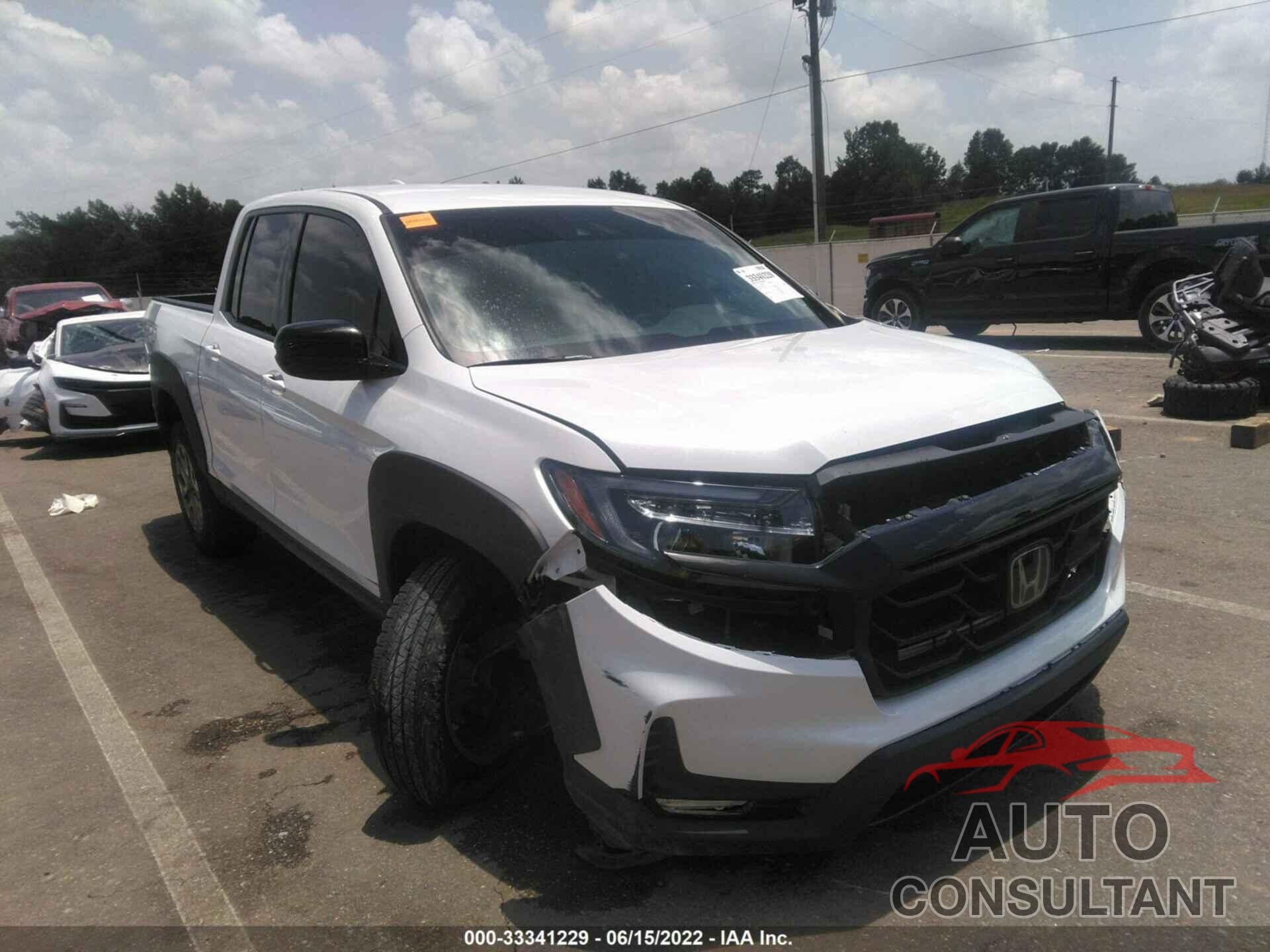 HONDA RIDGELINE 2021 - 5FPYK3F16MB001196