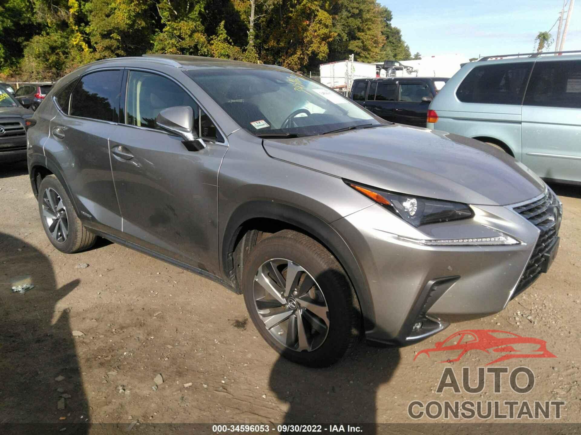 LEXUS NX 2019 - JTJBJRBZXK2109513