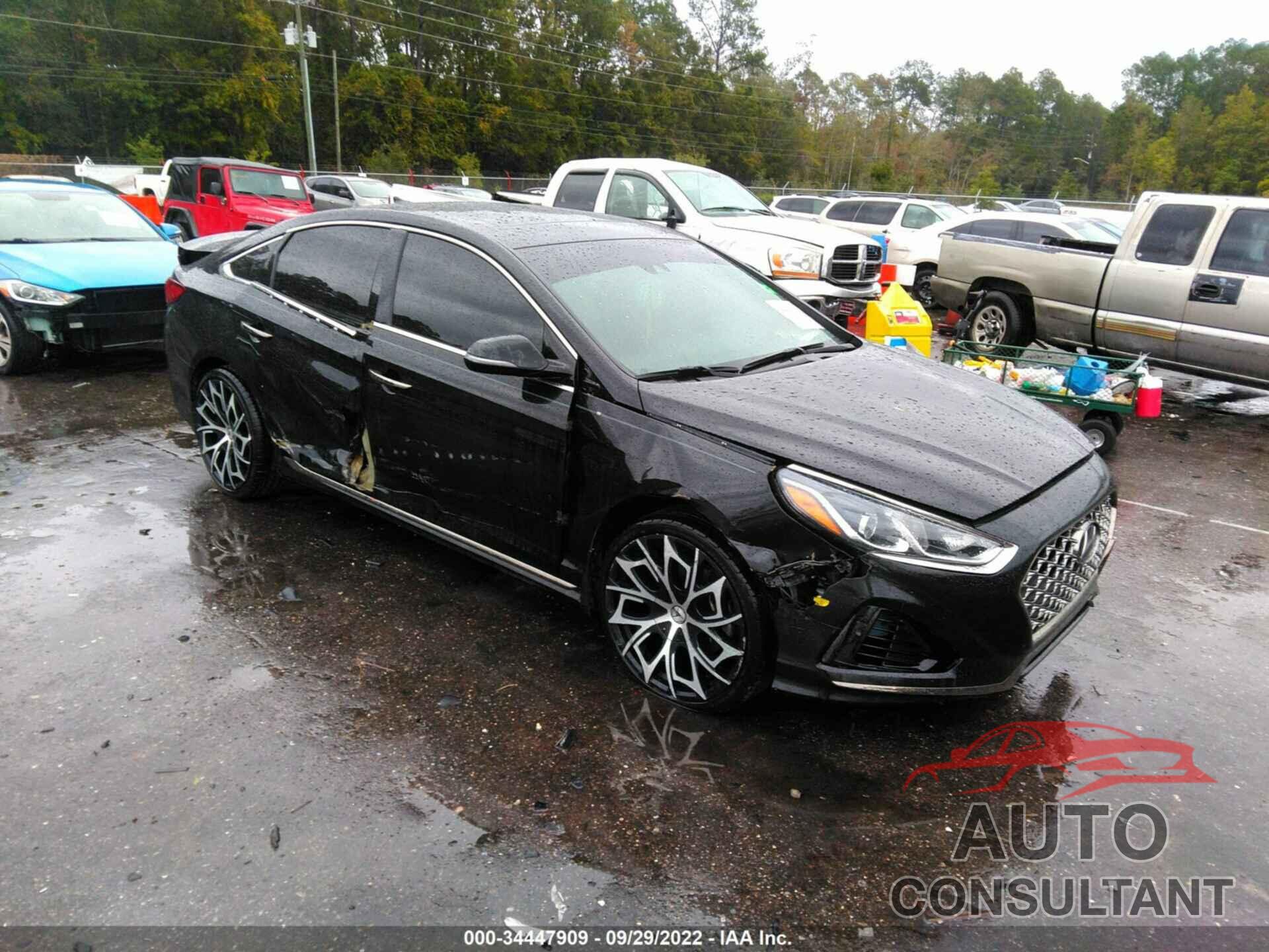HYUNDAI SONATA 2019 - 5NPE34AF3KH770304
