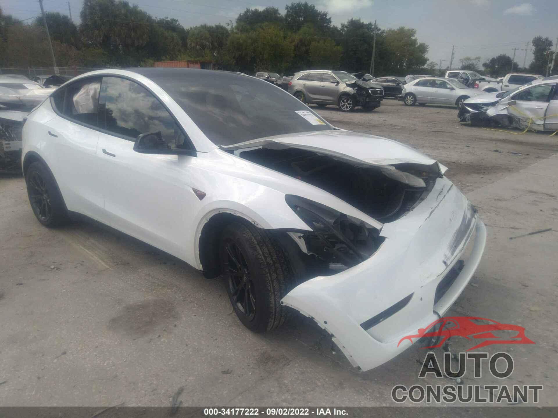 TESLA MODEL Y 2021 - 5YJYGDEE8MF142114