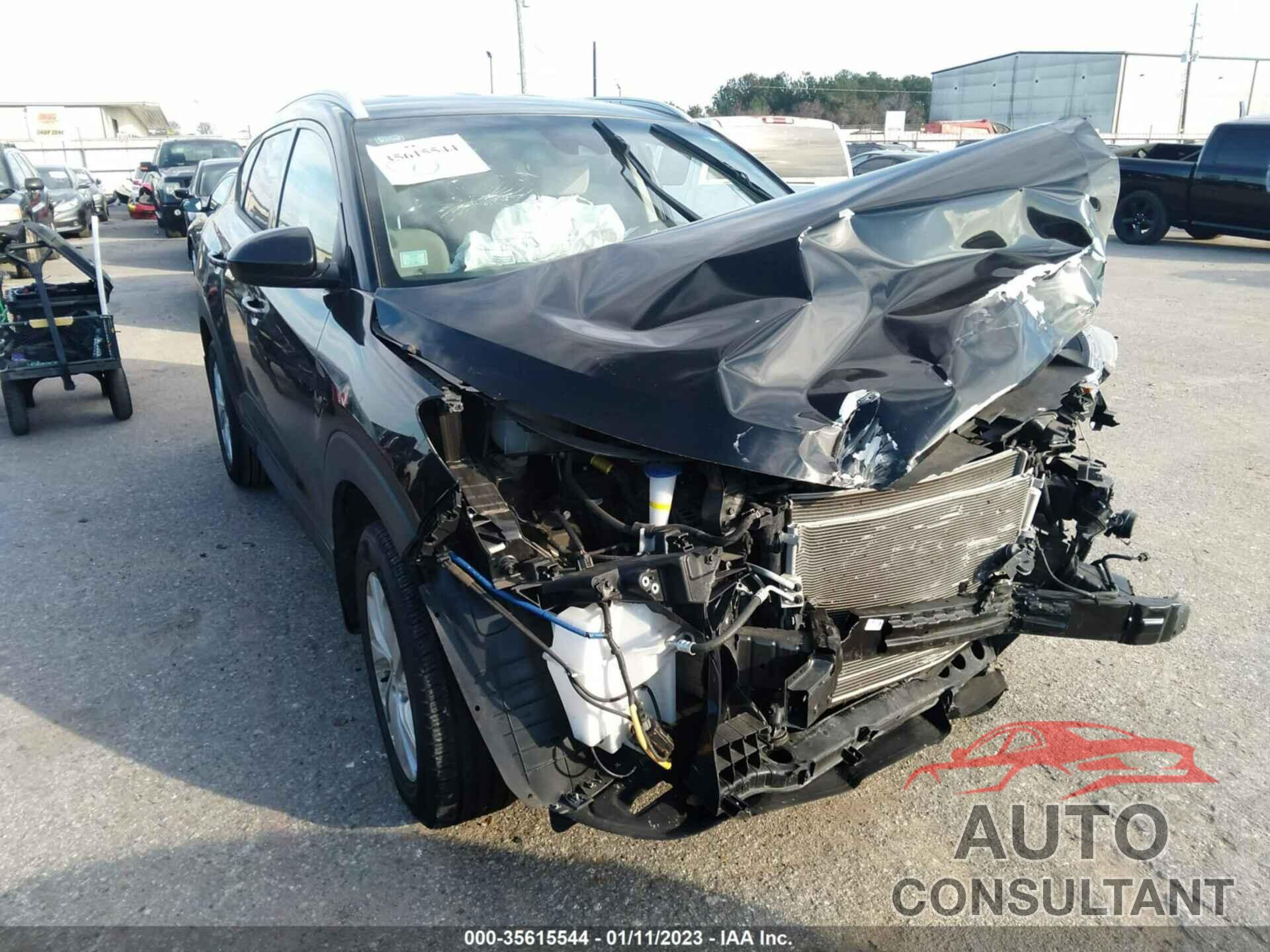 HYUNDAI TUCSON 2019 - KM8J33A48KU991986