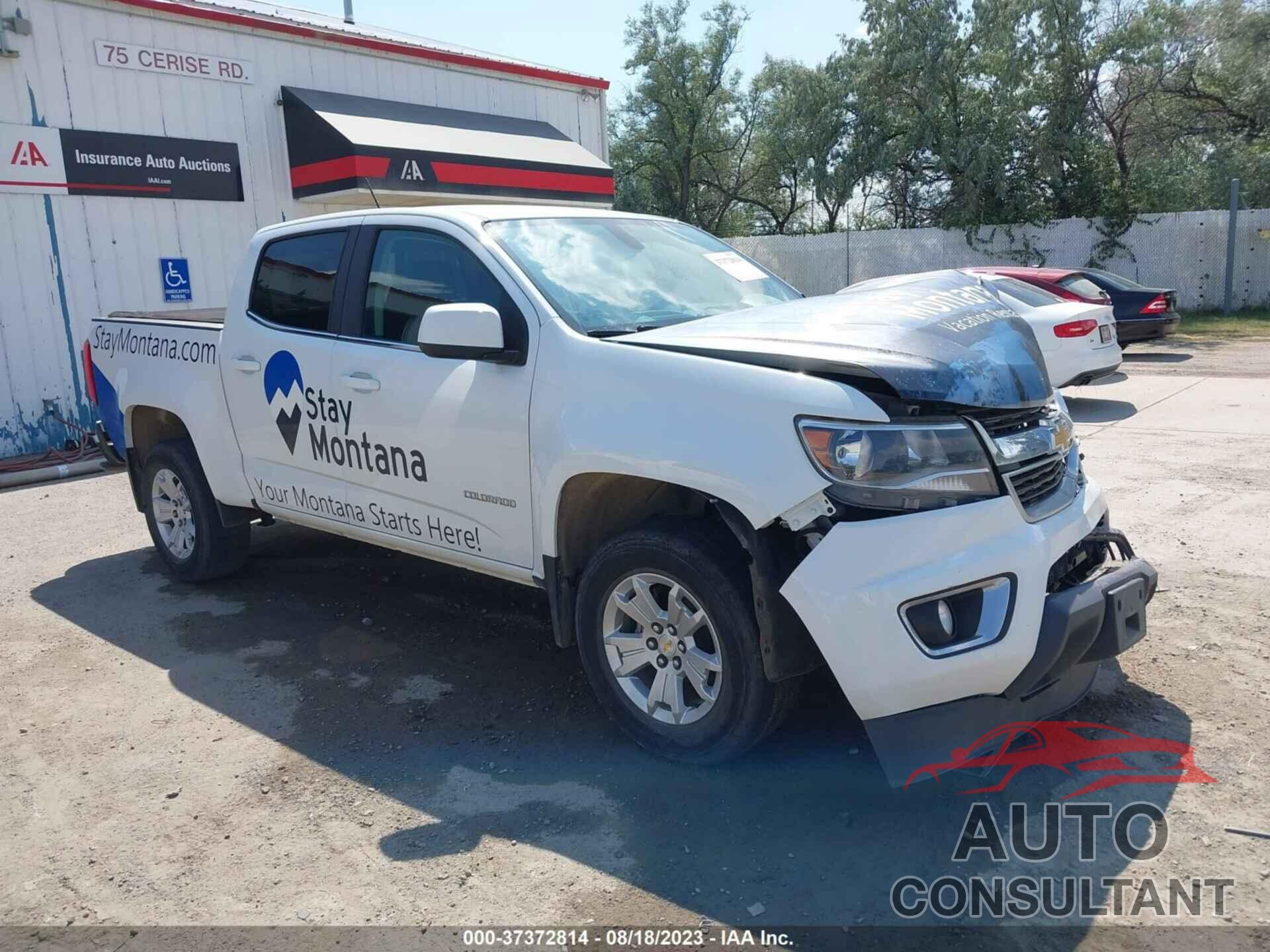 CHEVROLET COLORADO 2019 - 1GCGTCEN5K1116481