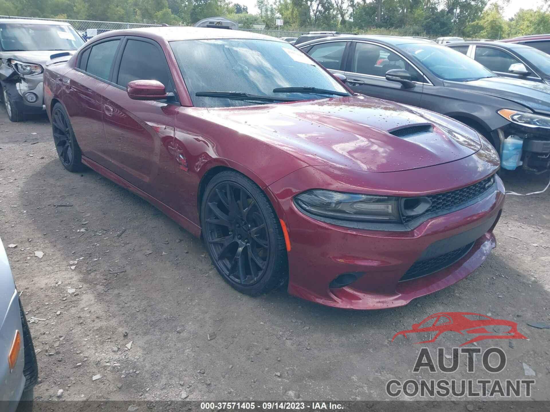 DODGE CHARGER 2019 - 2C3CDXGJ9KH522671