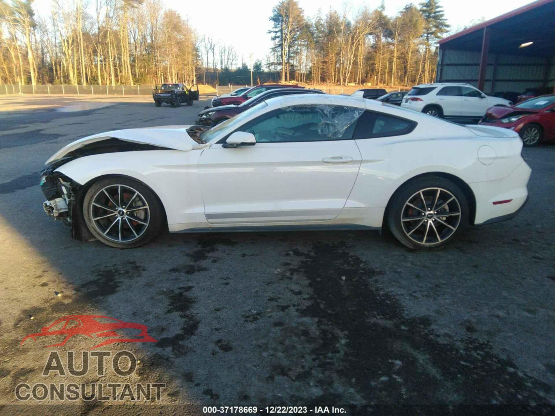 FORD MUSTANG 2021 - 1FA6P8TH6M5149727