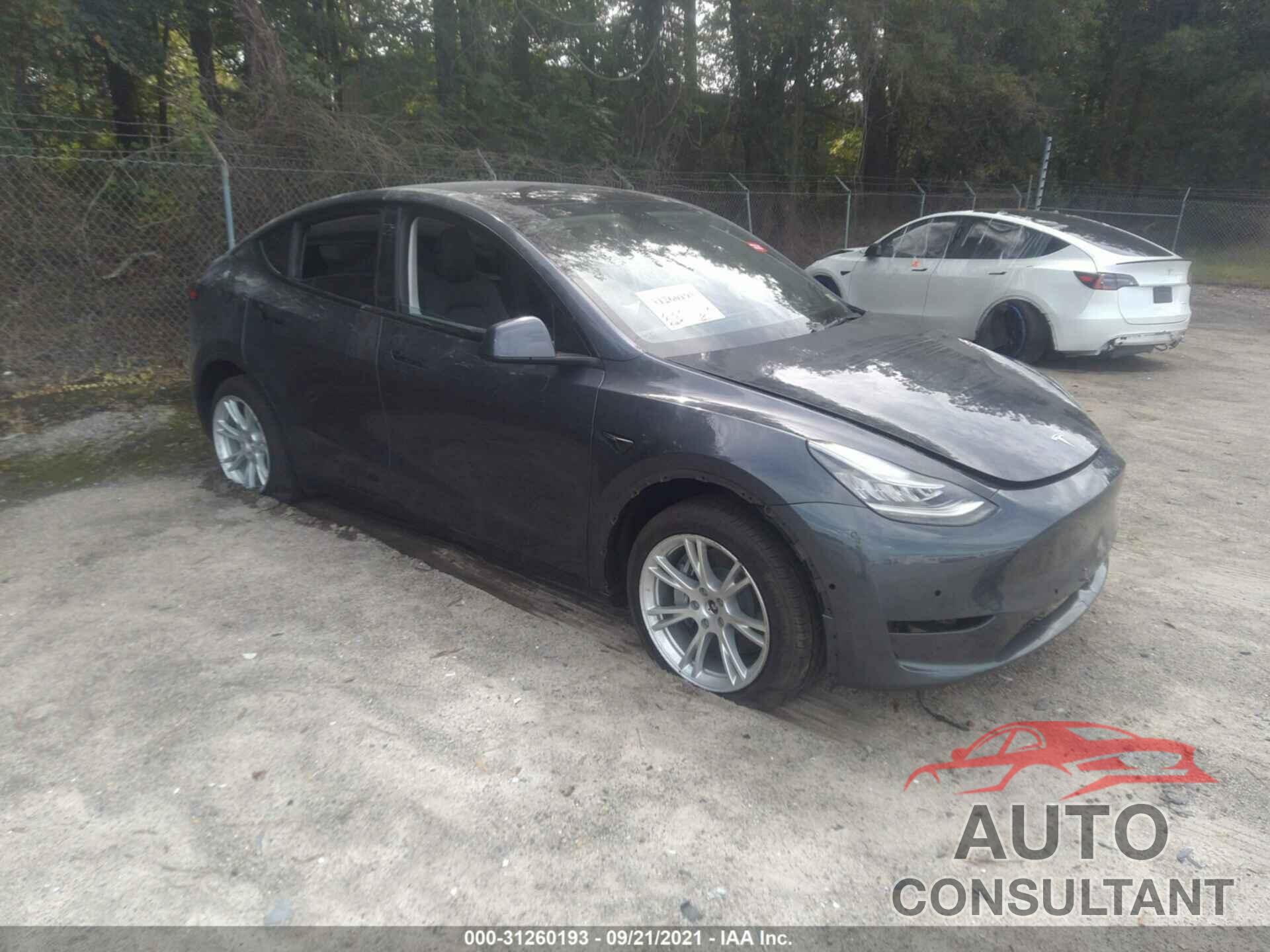 TESLA MODEL Y 2021 - 5YJYGDEE1MF146800