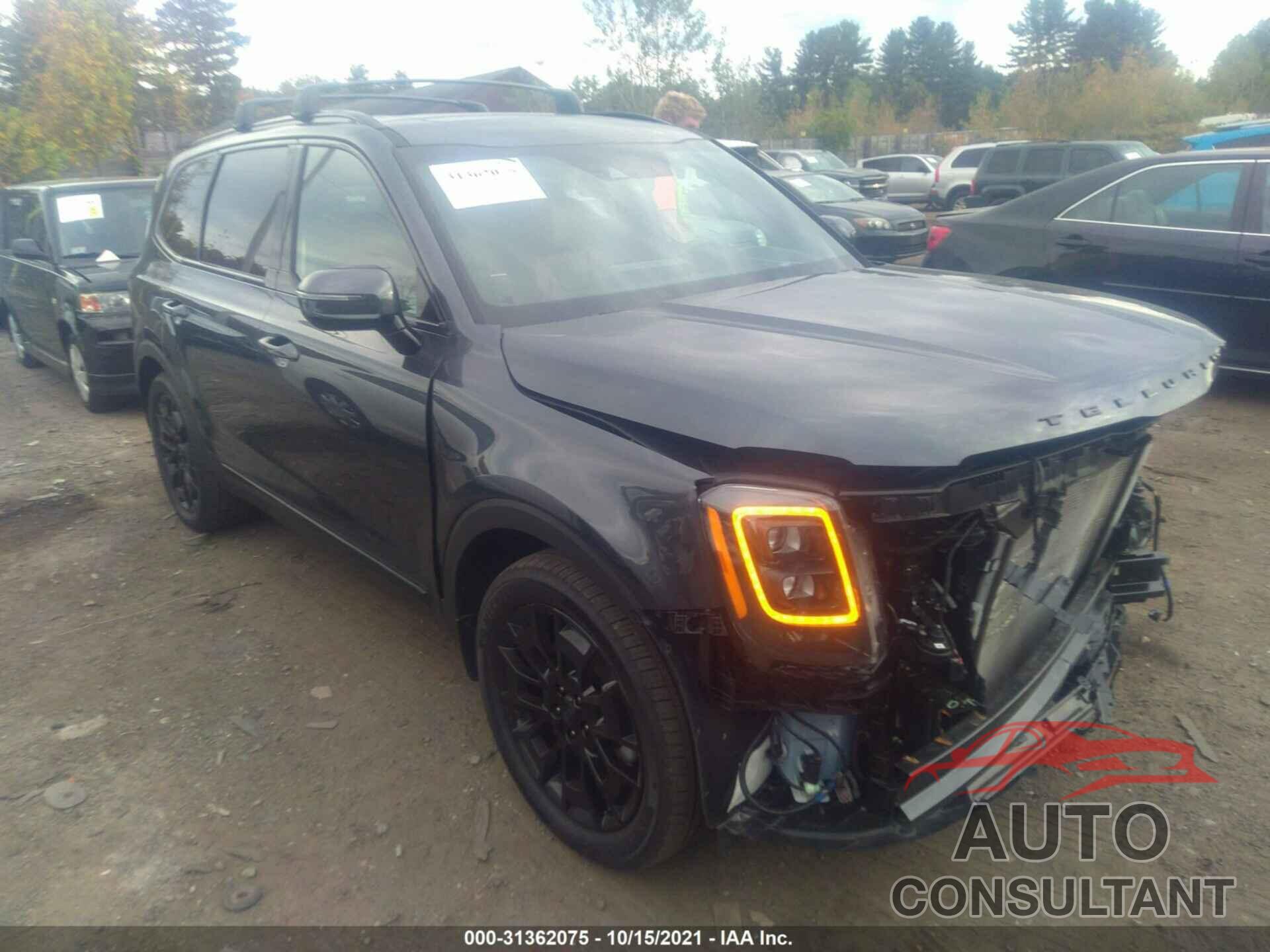 KIA TELLURIDE 2021 - 5XYP5DHC5MG193476