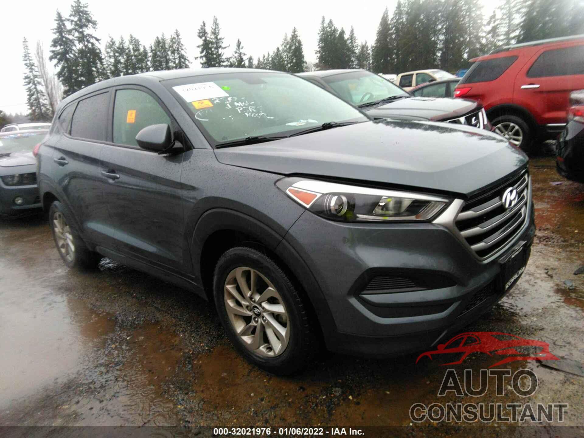 HYUNDAI TUCSON 2017 - KM8J23A43HU570012