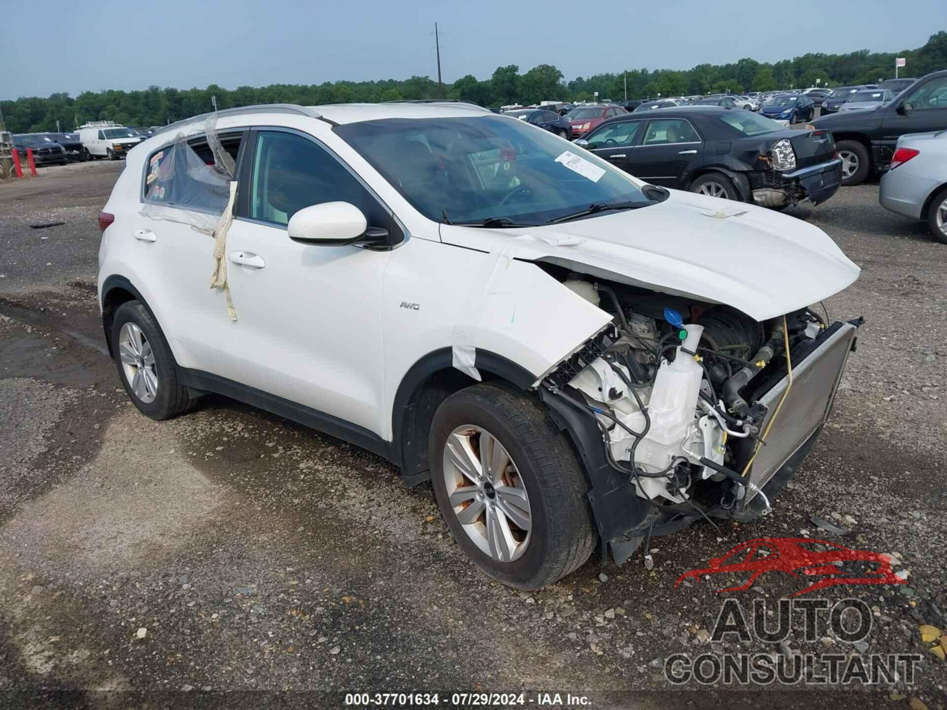 KIA SPORTAGE 2017 - KNDPMCACXH7266285