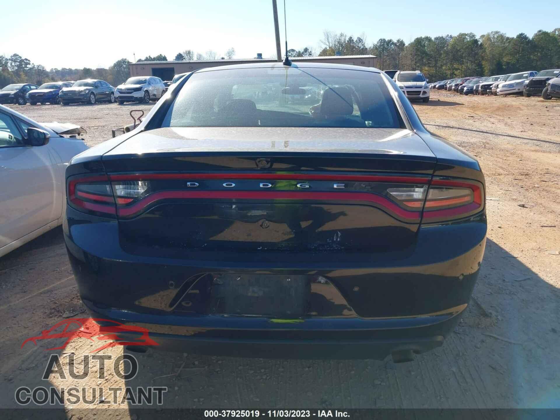 DODGE CHARGER 2019 - 2C3CDXAT2KH558499