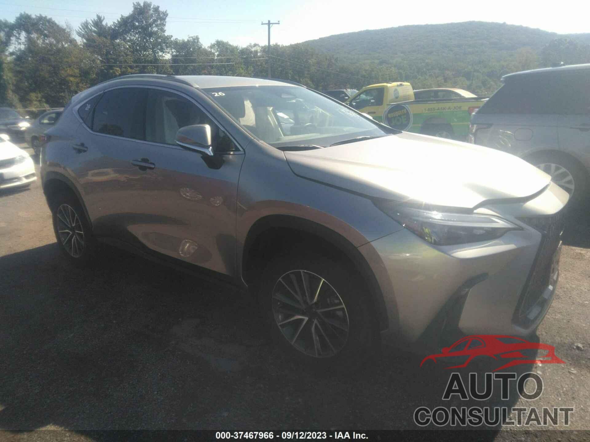 LEXUS NX 250 2022 - JTJADCEZ8N5000207