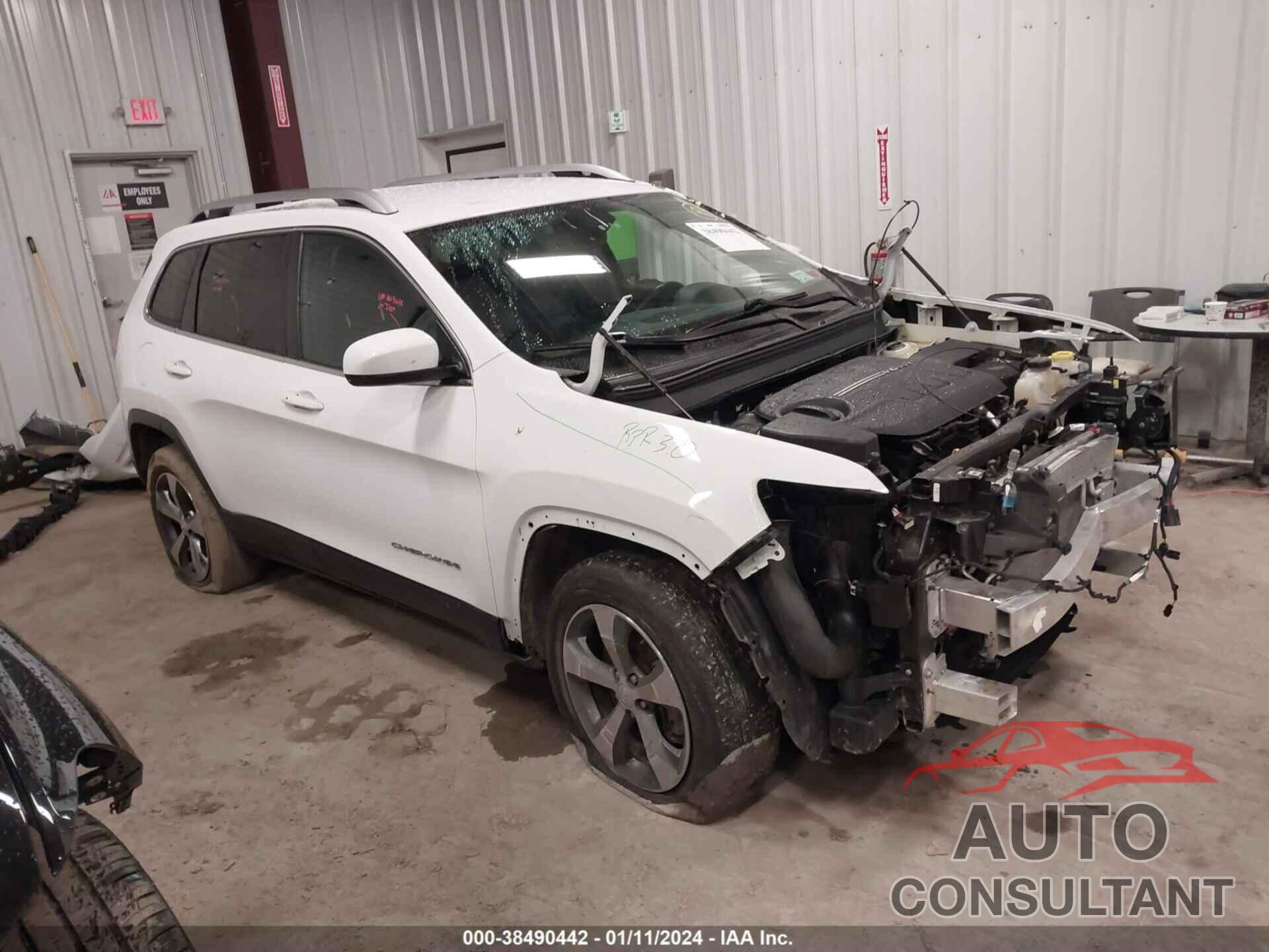 JEEP CHEROKEE 2019 - 1C4PJMDX0KD450981