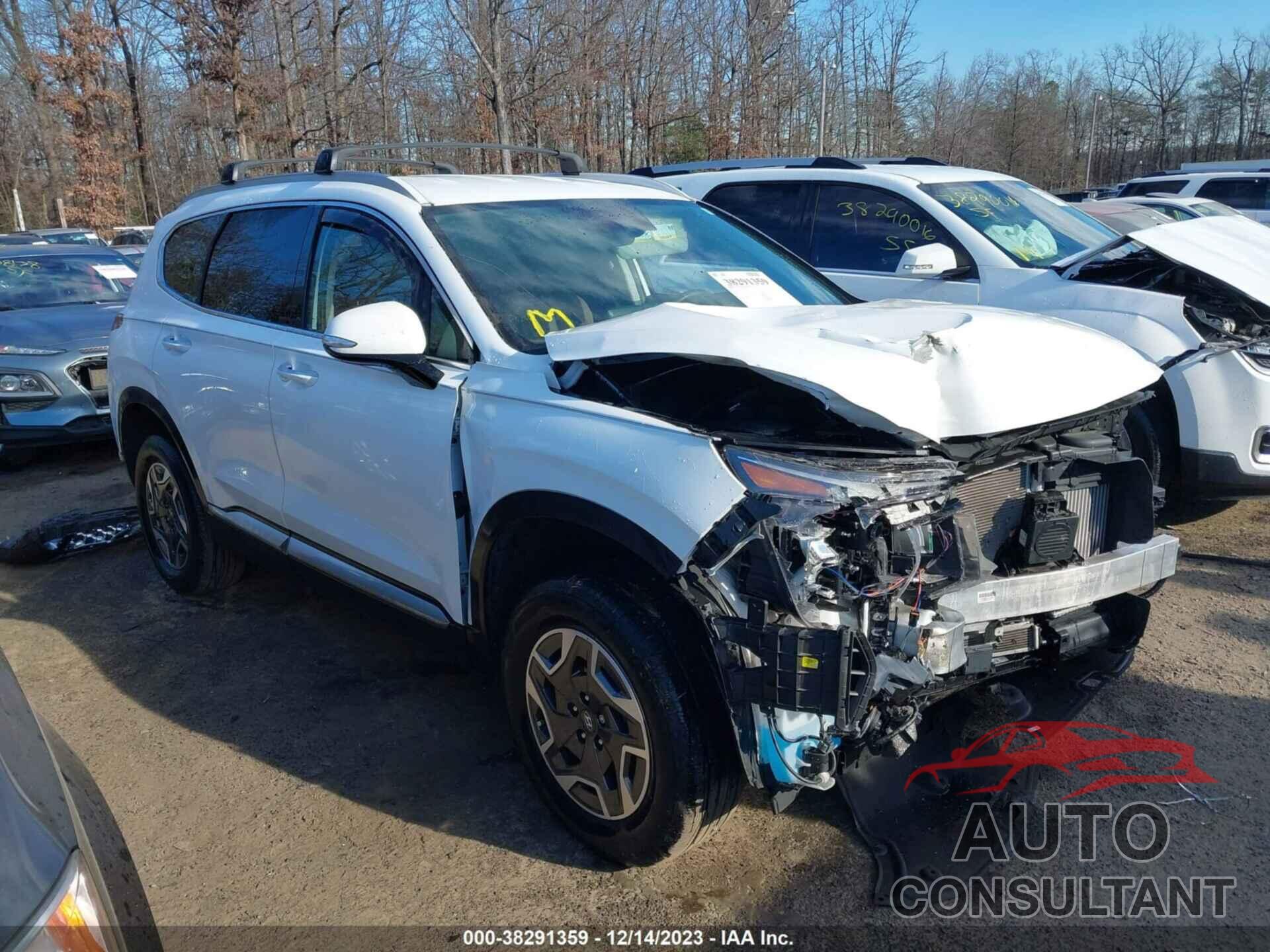 HYUNDAI SANTA FE 2021 - KM8S2DA12MU013666