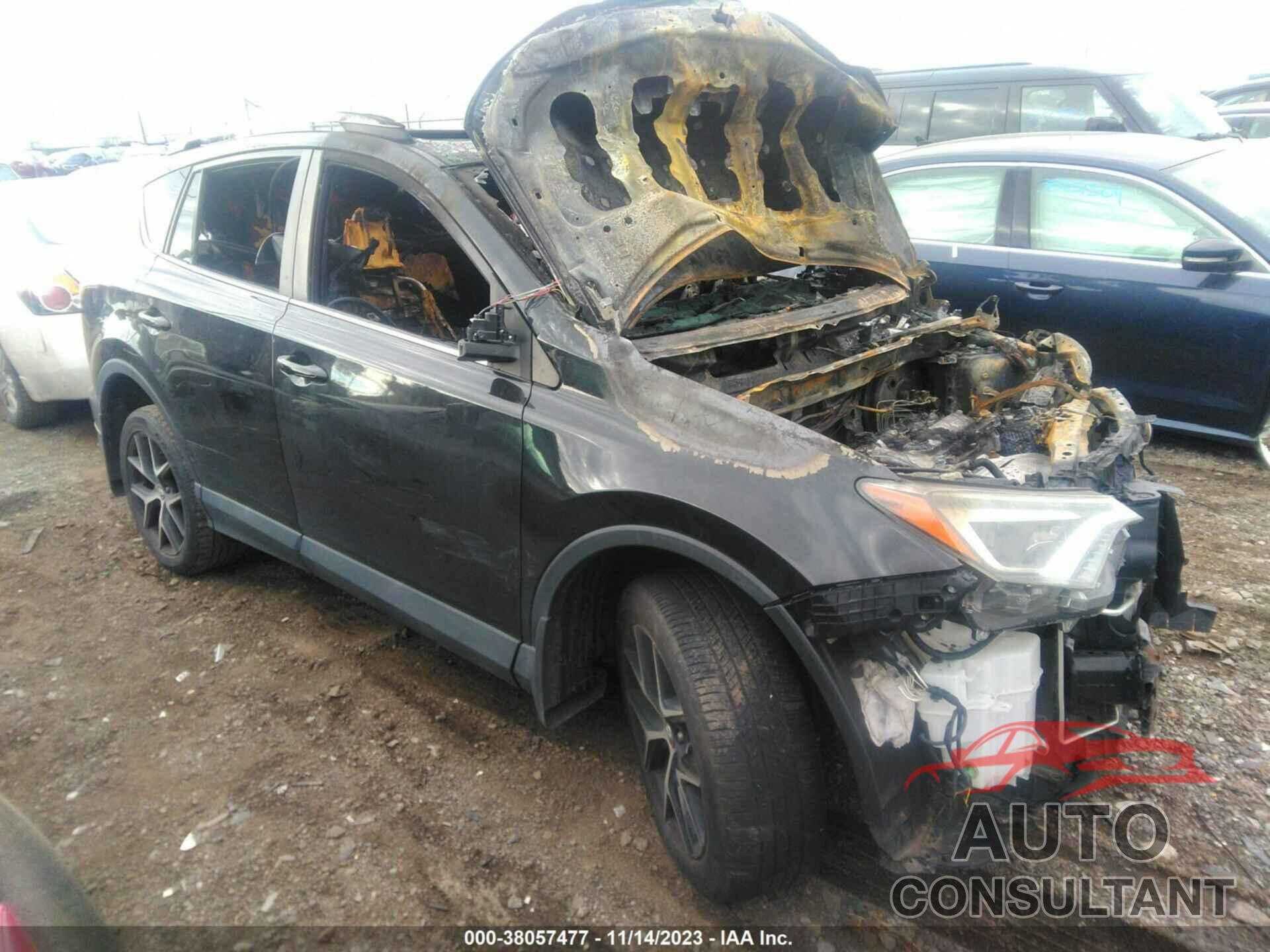 TOYOTA RAV4 2016 - 2T3JFREV4GW488774