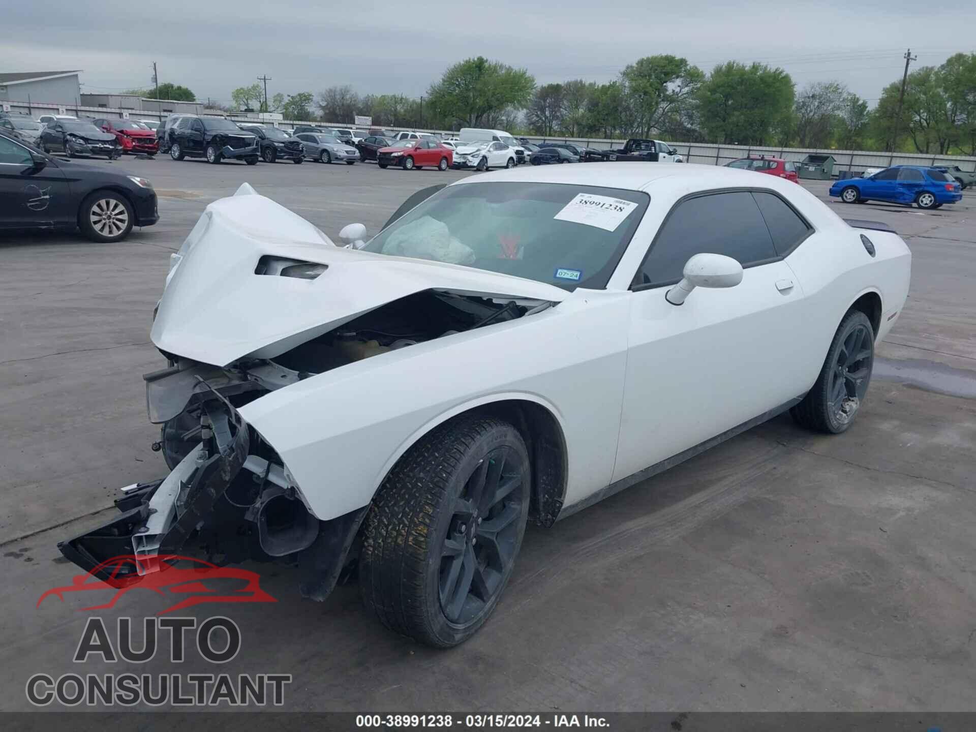 DODGE CHALLENGER 2019 - 2C3CDZAGXKH611206