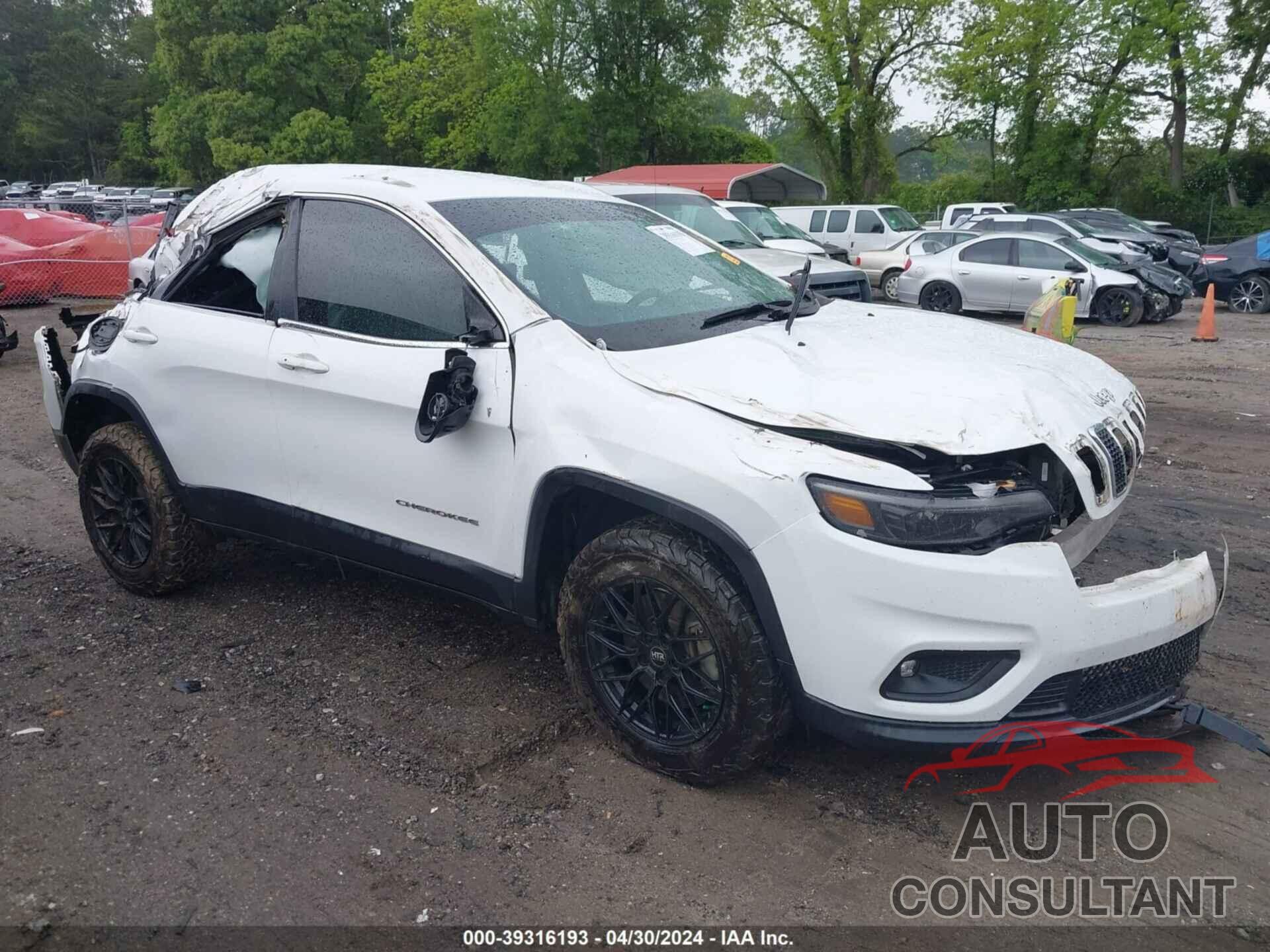 JEEP CHEROKEE 2019 - 1C4PJMLB1KD181394