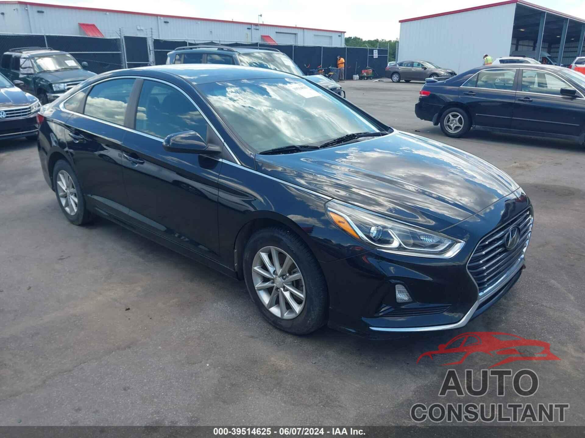 HYUNDAI SONATA 2019 - 5NPE24AF4KH731854
