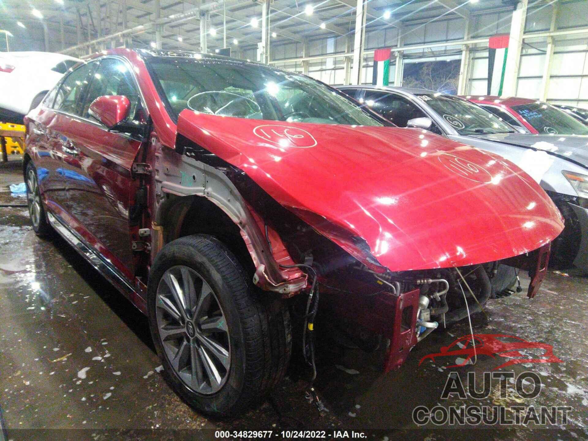 HYUNDAI SONATA 2016 - 00PE34AF1GH323445