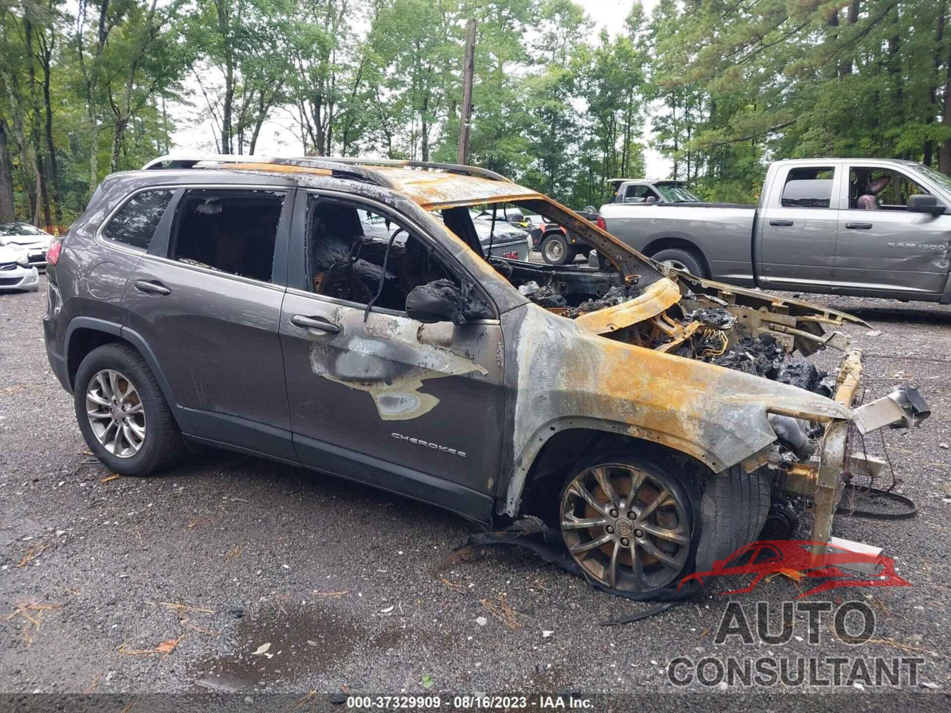 JEEP CHEROKEE 2019 - 1C4PJMLB1KD182397