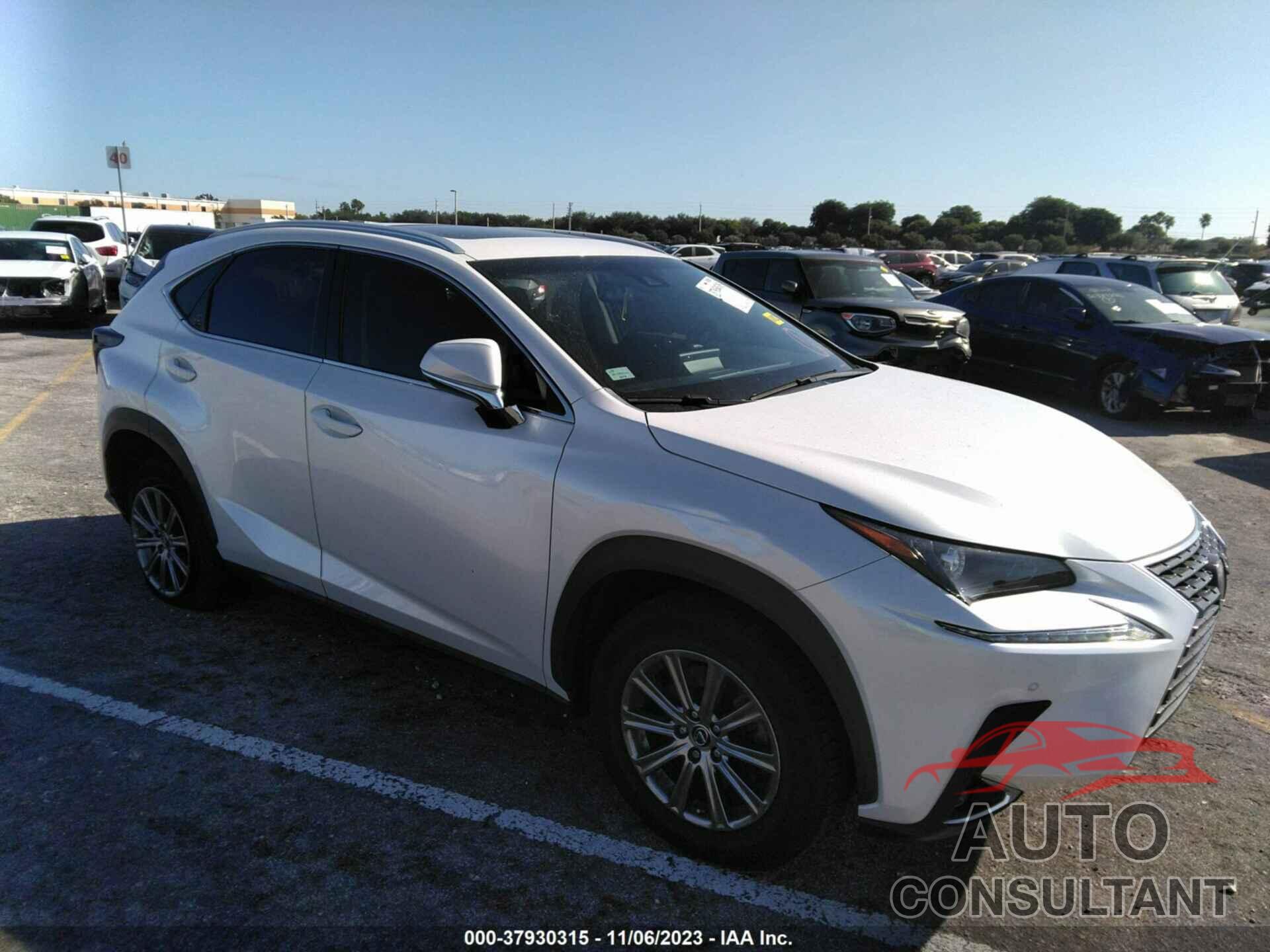 LEXUS NX 2019 - JTJYARBZ2K2124033