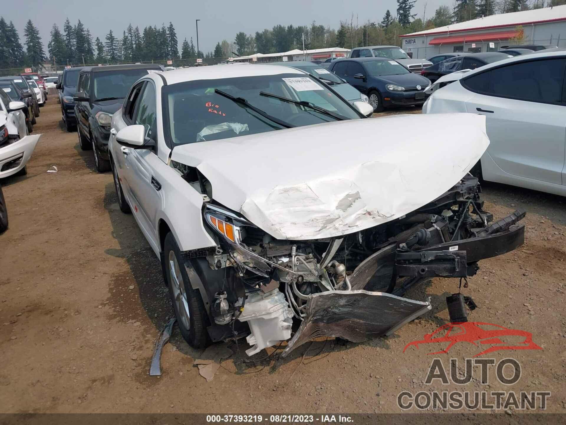 KIA OPTIMA 2018 - KNAGT4L36J5216049