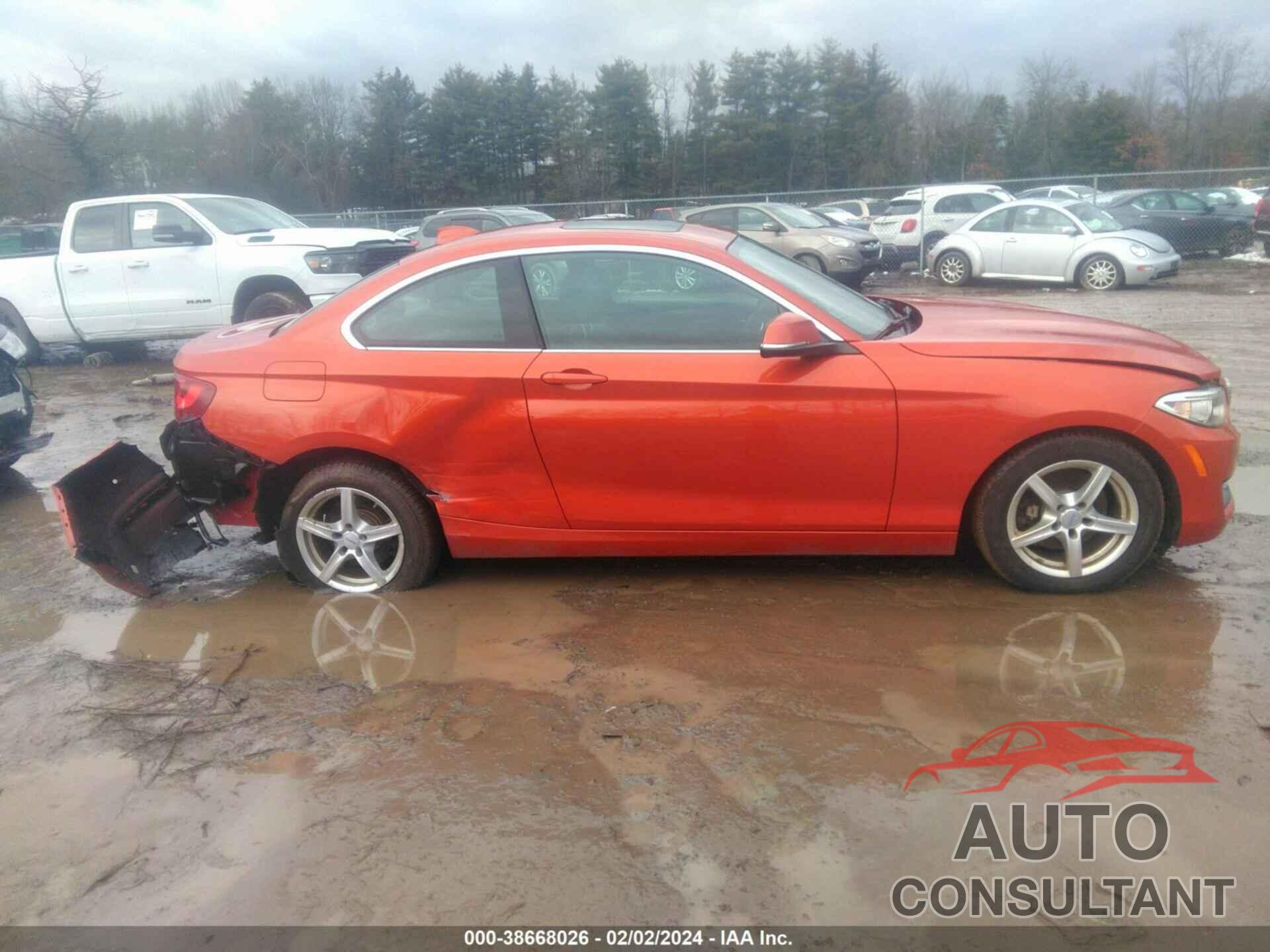 BMW 228I 2016 - WBA1G9C55GV727110