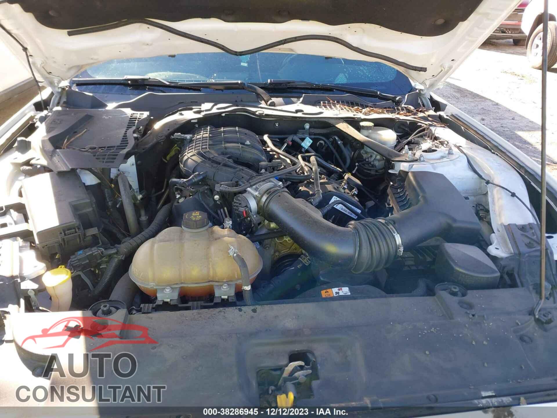 FORD MUSTANG 2017 - 1FATP8EM4H5236495