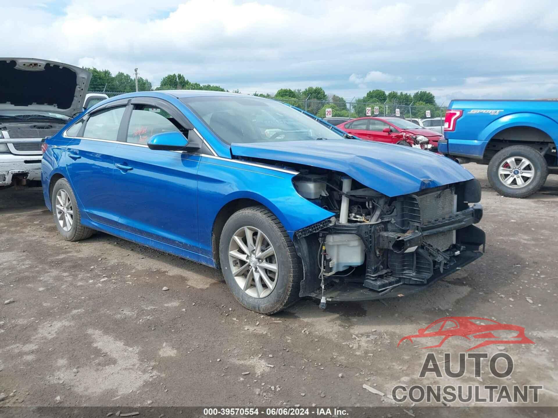 HYUNDAI SONATA 2019 - 5NPE24AF7KH744839