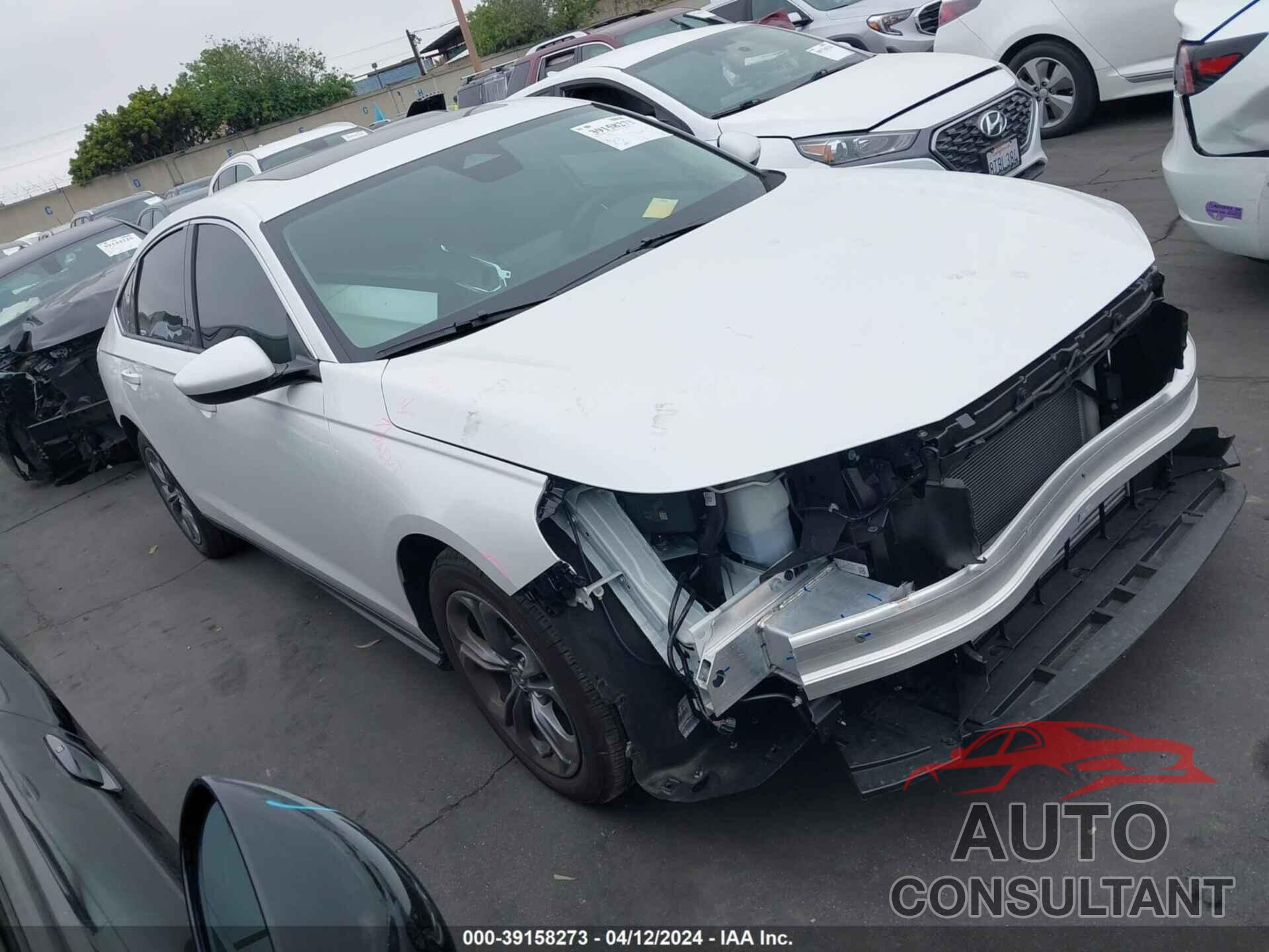 HONDA ACCORD 2024 - 1HGCY1F31RA026371