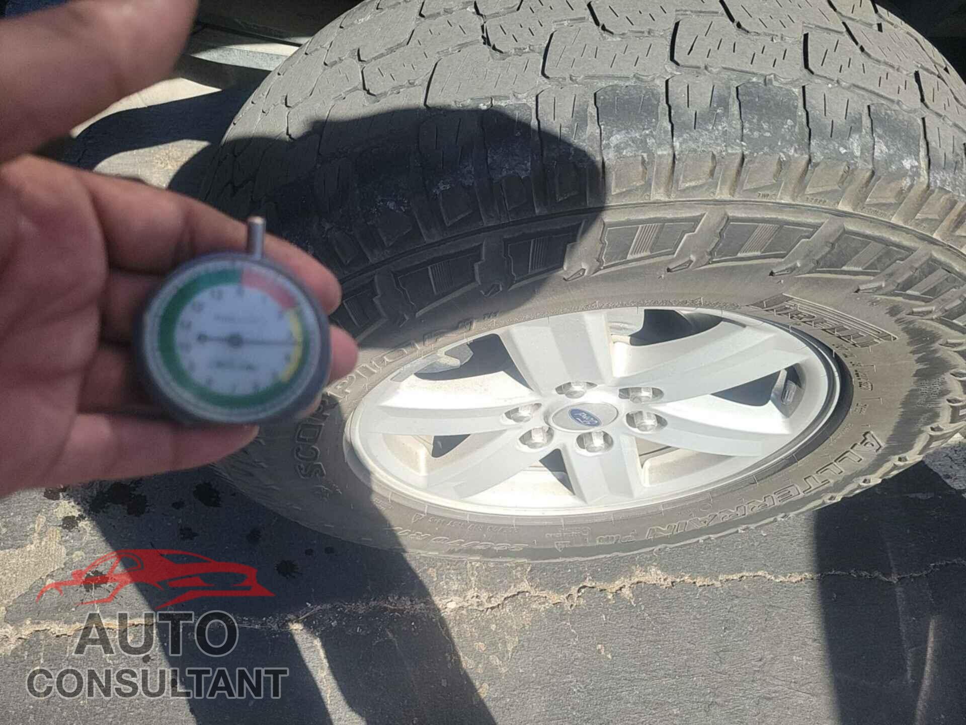 FORD F150 2021 - 1FTFW1E56MFA73444