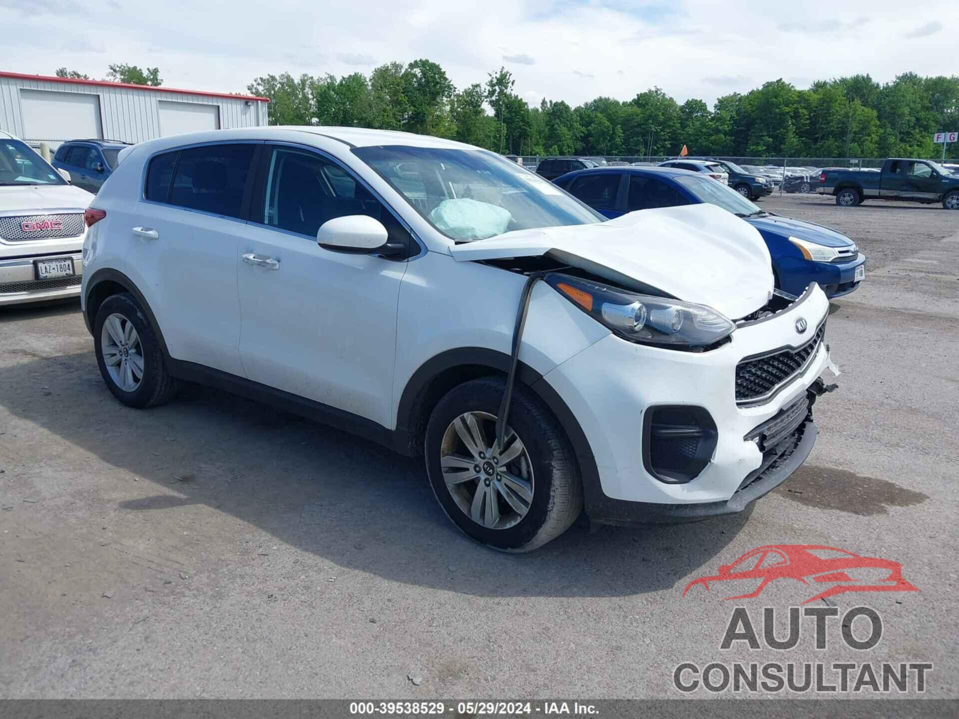 KIA SPORTAGE 2019 - KNDPM3AC3K7580822