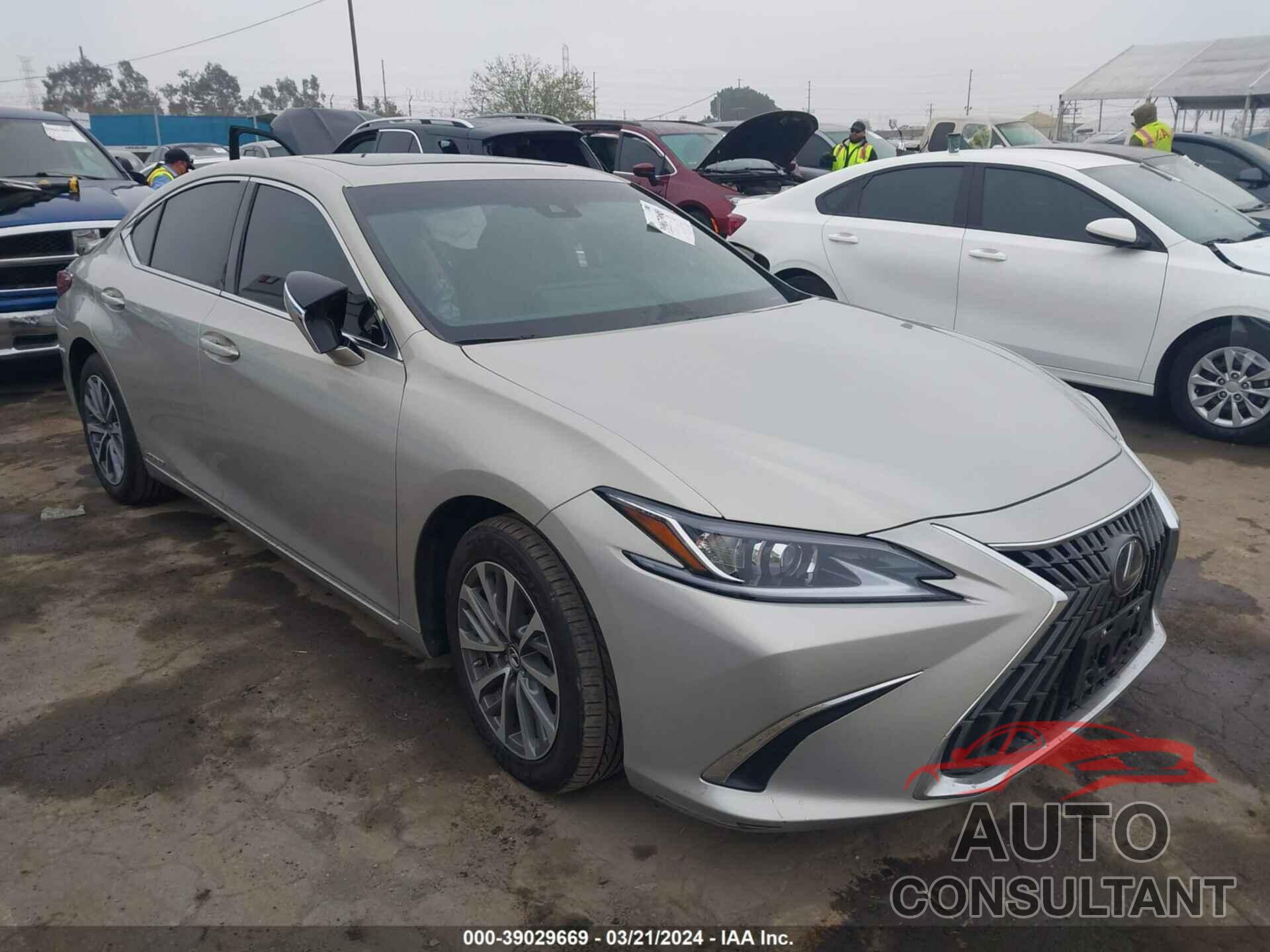 LEXUS ES 300H 2022 - 58ACA1C12NU024485