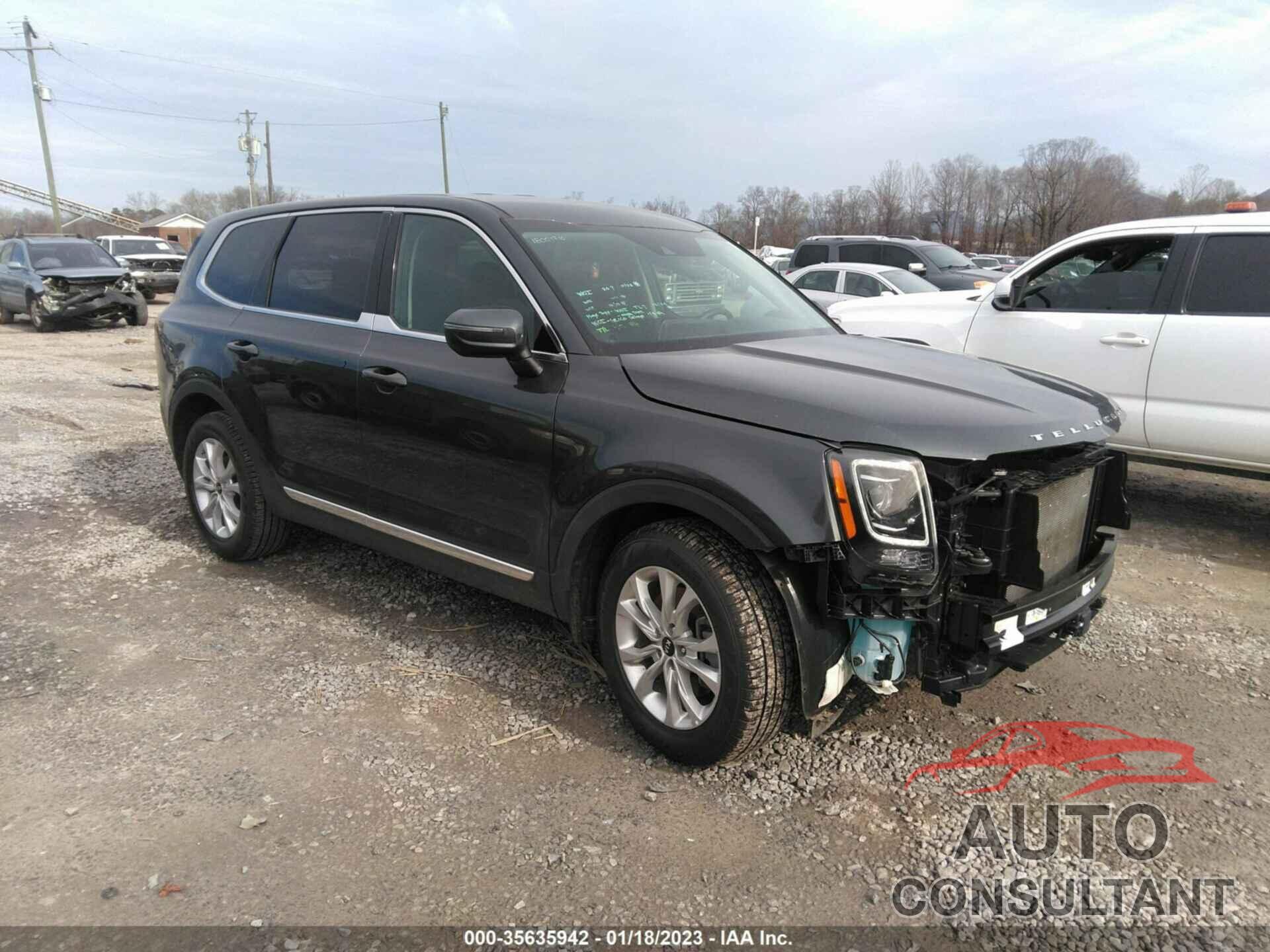 KIA TELLURIDE 2021 - 5XYP24HC8MG171951