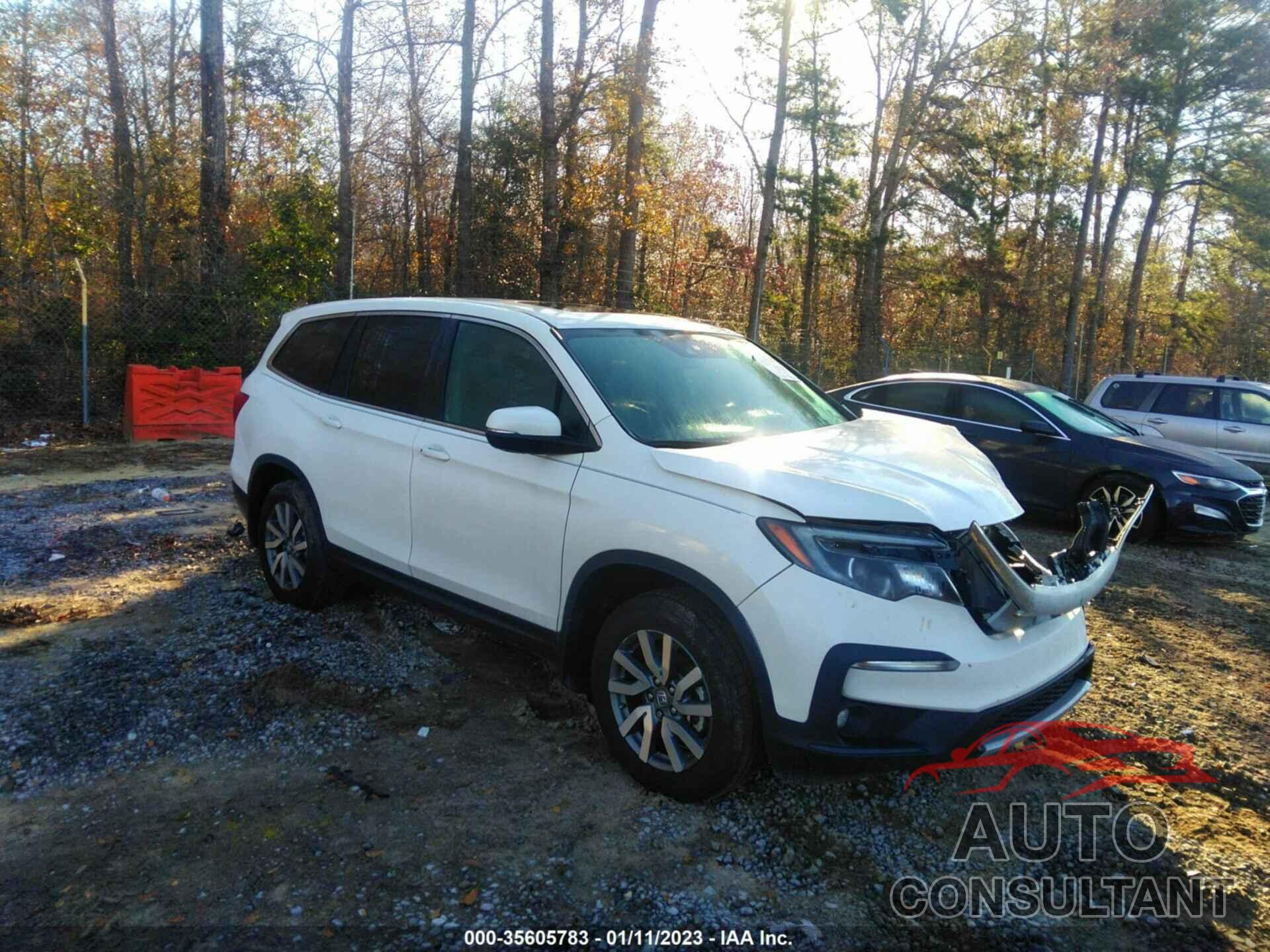 HONDA PILOT 2019 - 5FNYF5H59KB008553
