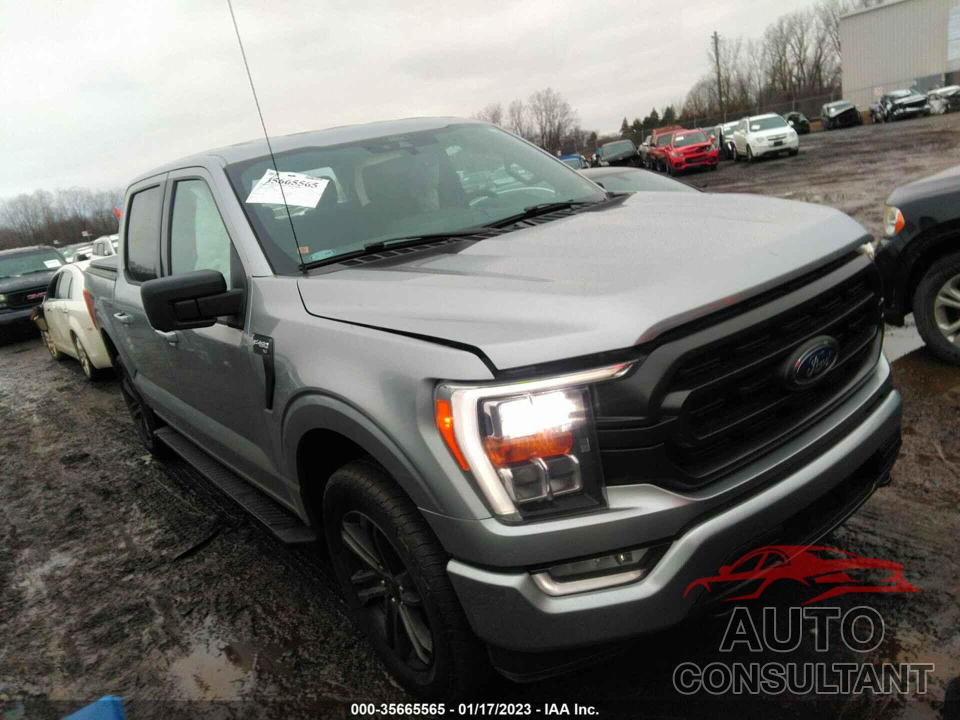 FORD F-150 2021 - 1FTEW1EP0MKD54837