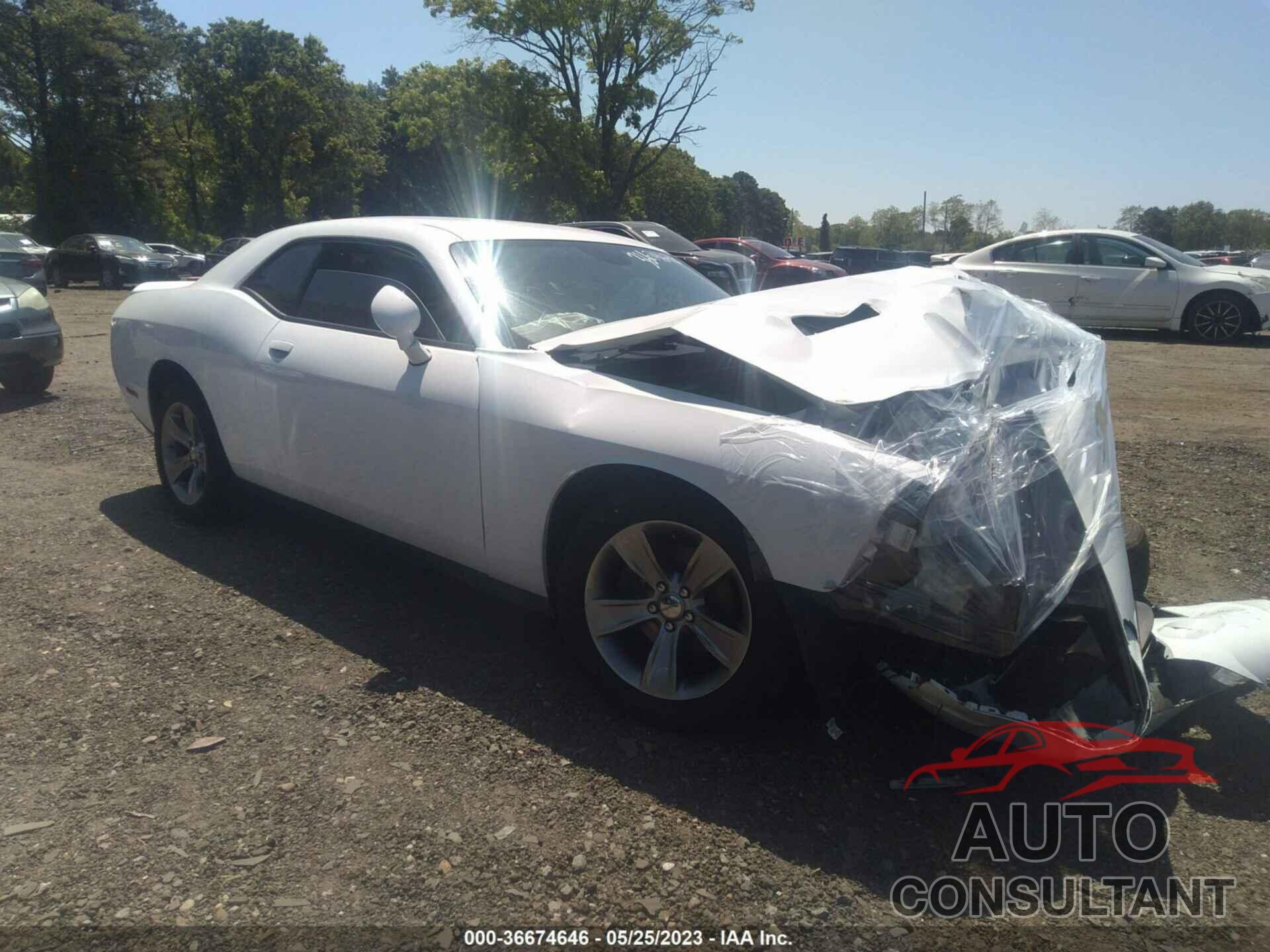 DODGE CHALLENGER 2019 - 2C3CDZAG8KH723342